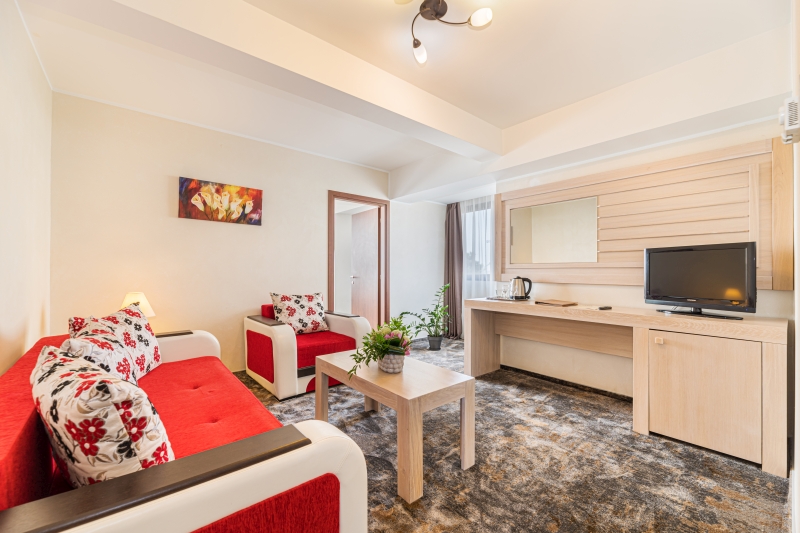 Superior Suite Danube view