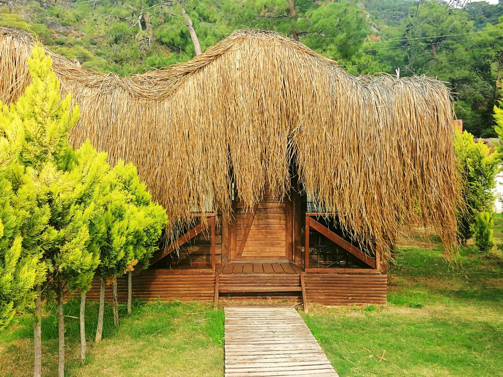 Tree House Room