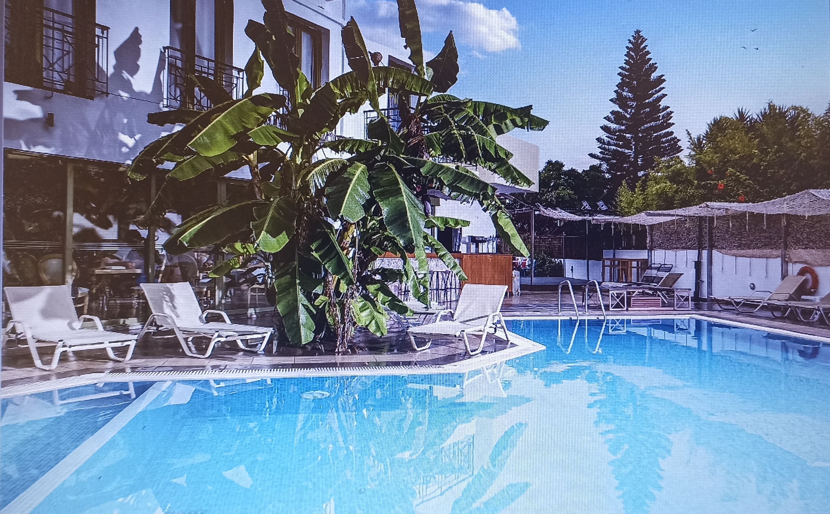 Piscina deschisă