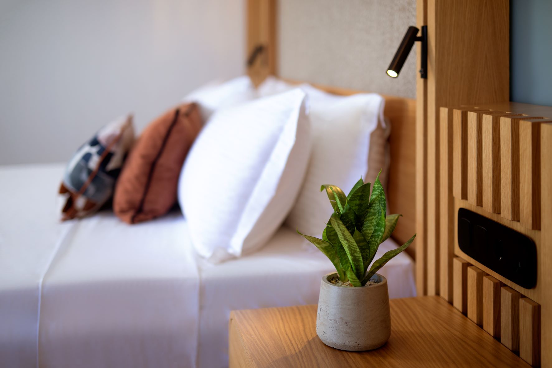Deluxe Junior Suite Beachfront with Individual Pool 