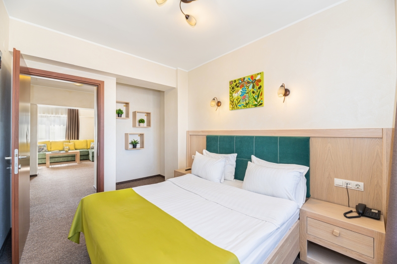 Superior Suite Danube view