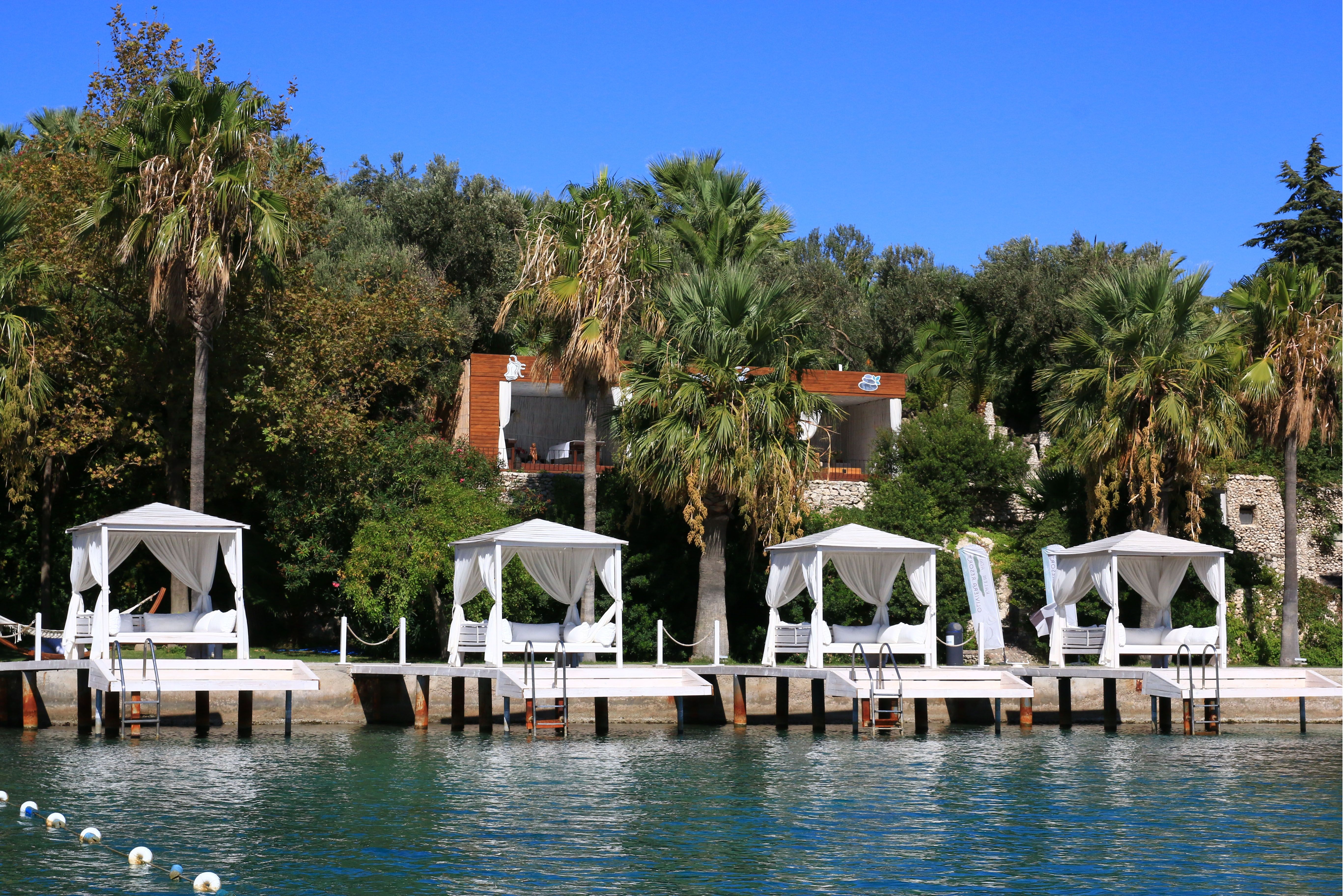 Plajă 