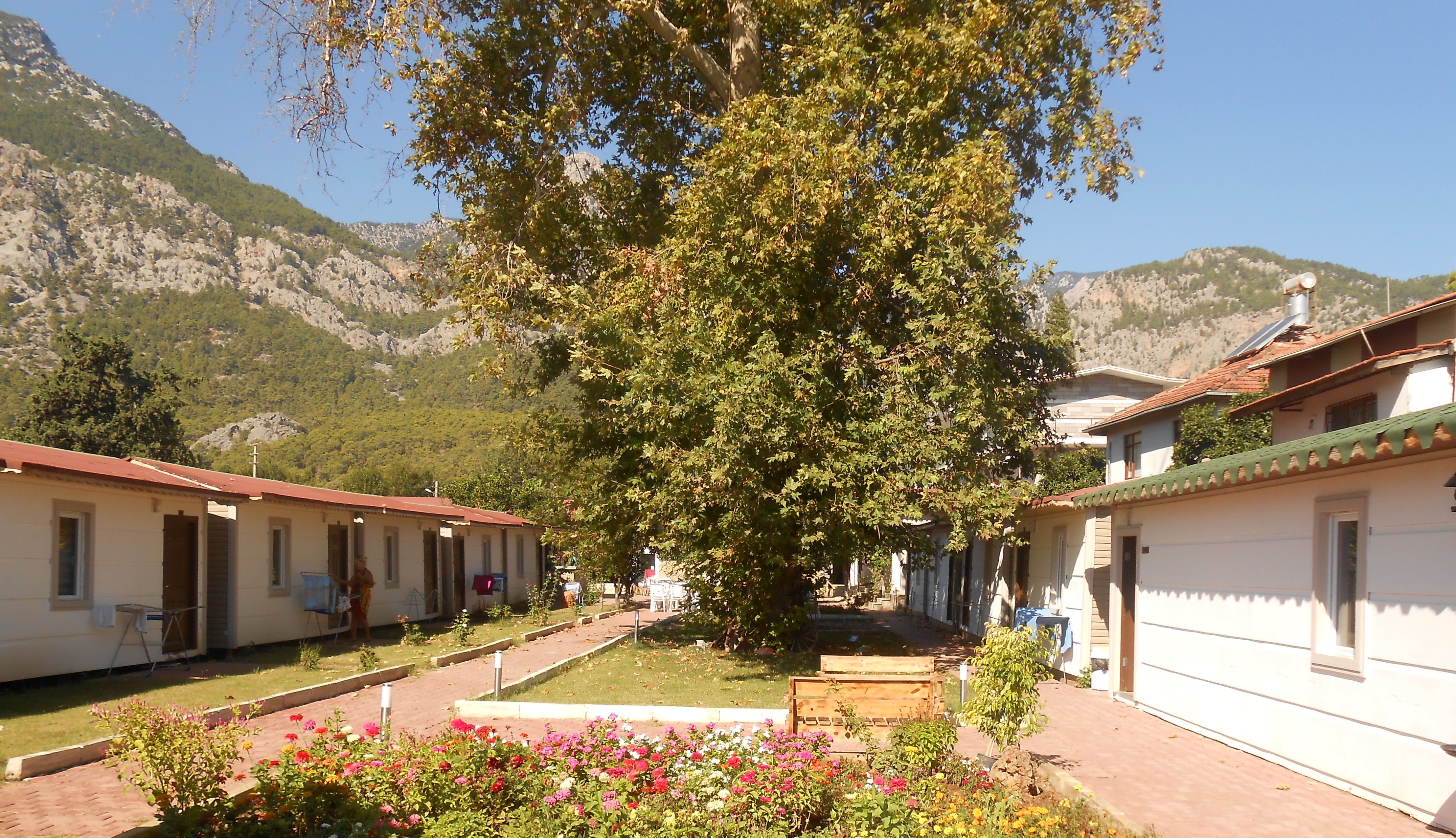 Bungalow