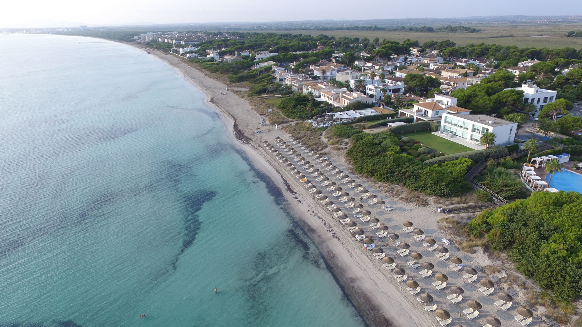 Plajă 