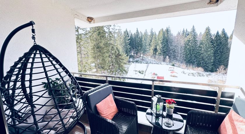 One Bedroom Apartment with Mountain View and fireplace