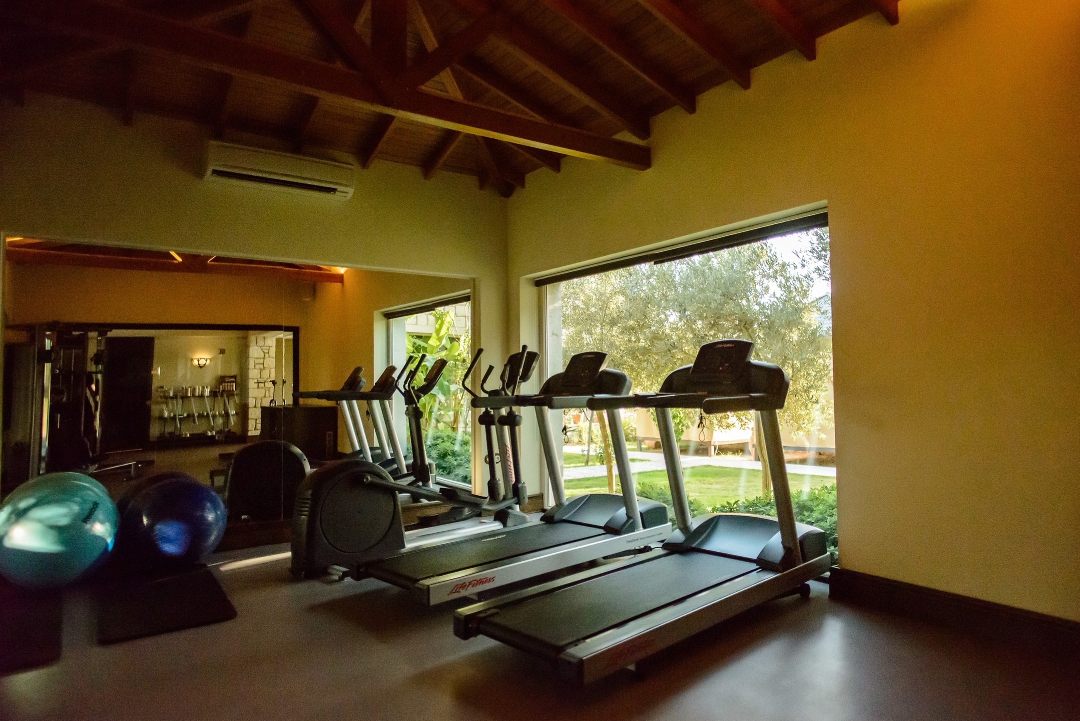 Sport