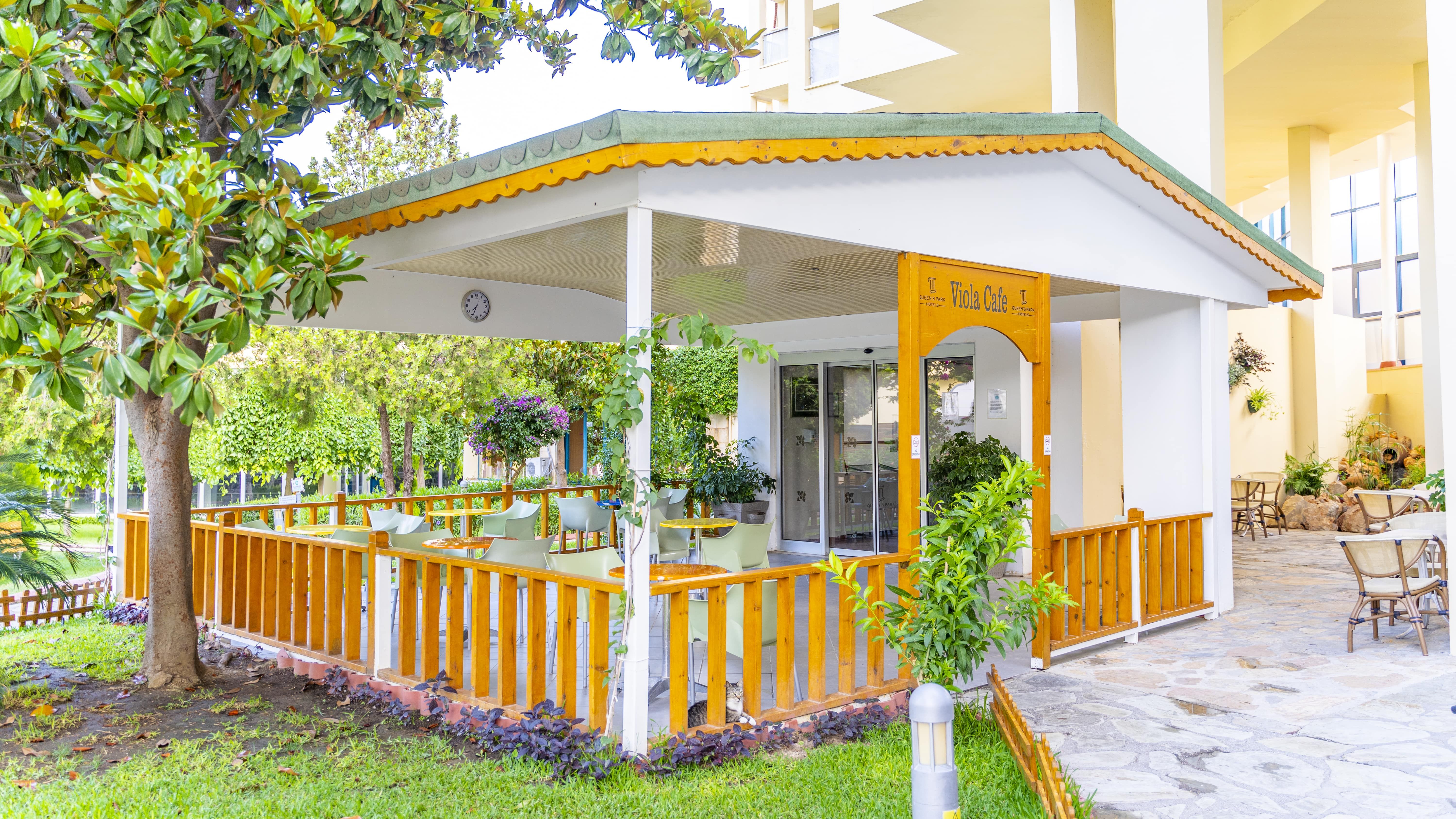 VIOLA CAFE