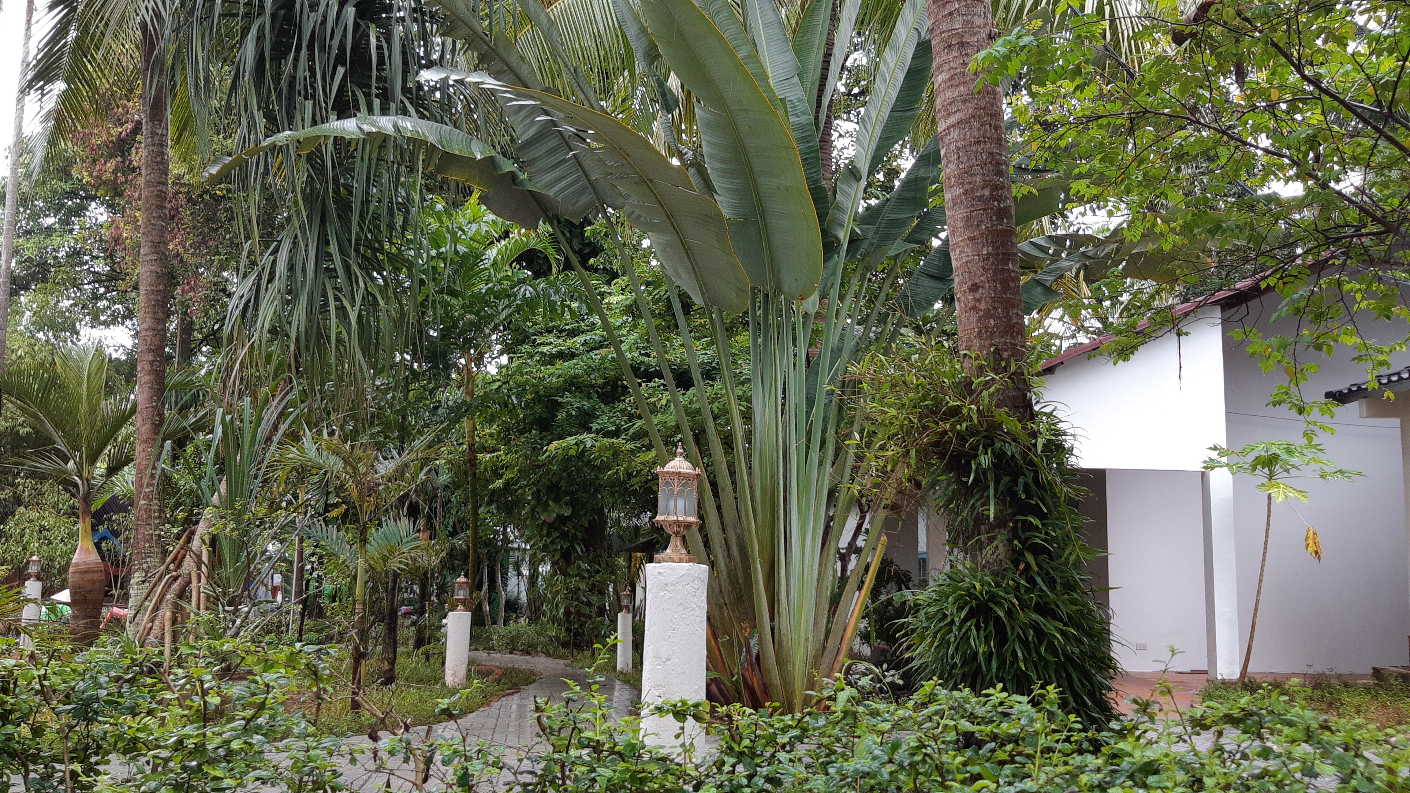 Bungalou