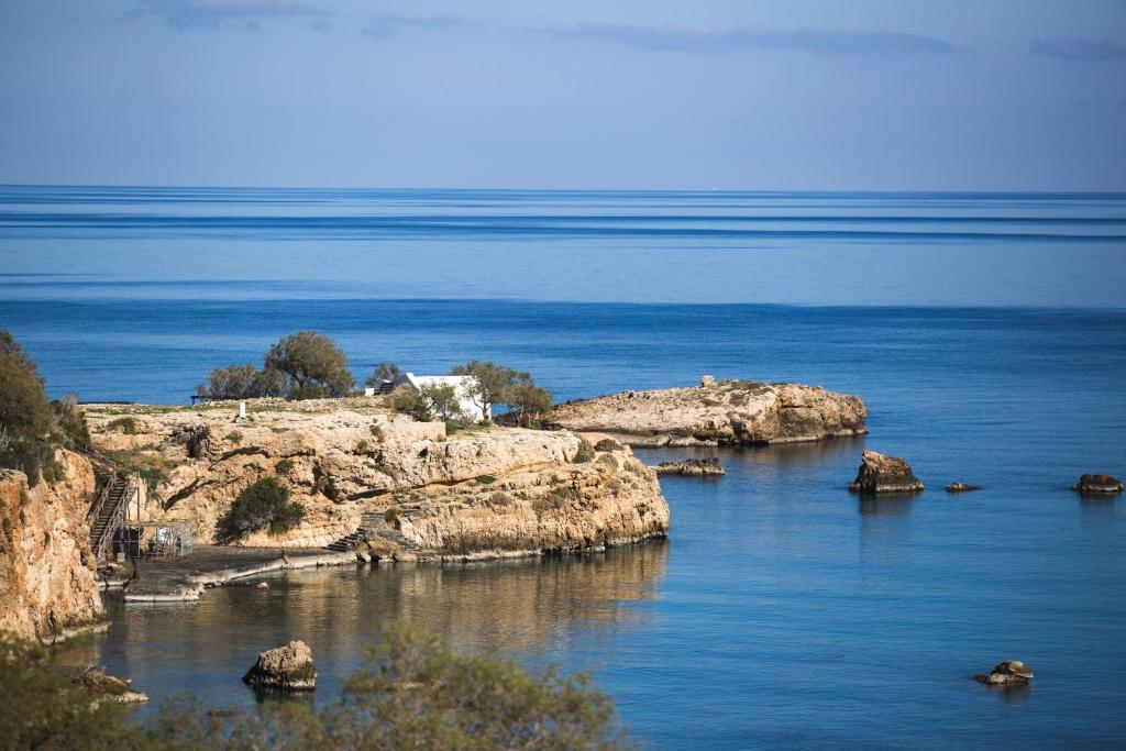 Plajă 