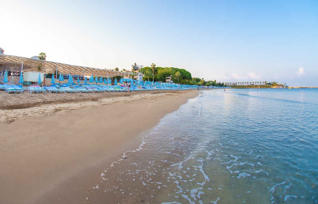 Plajă 