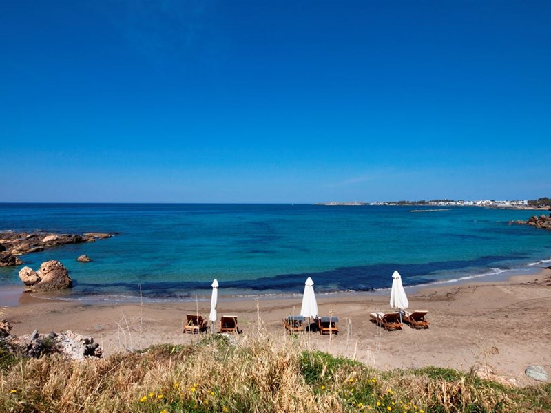 Amphora Hotel & Suites Paphos Cipru