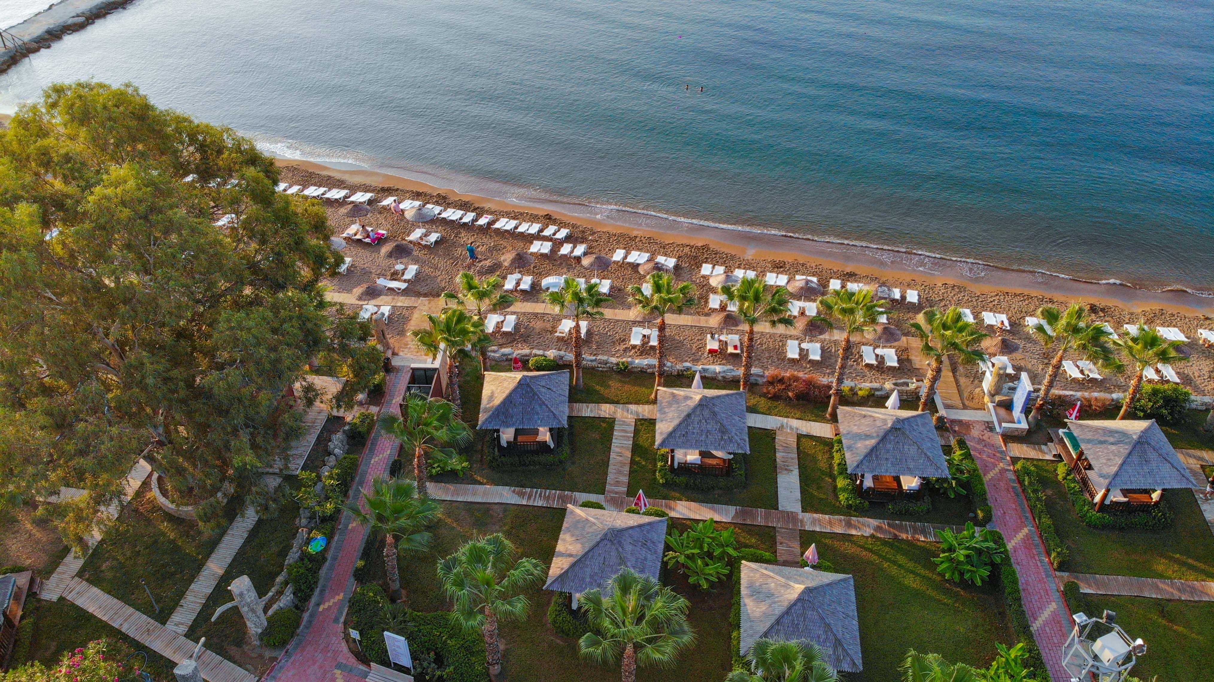 Plajă 