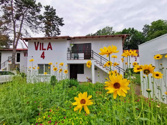 1EXTERIOR VILE LILIACUL IMAG. 3.jpg