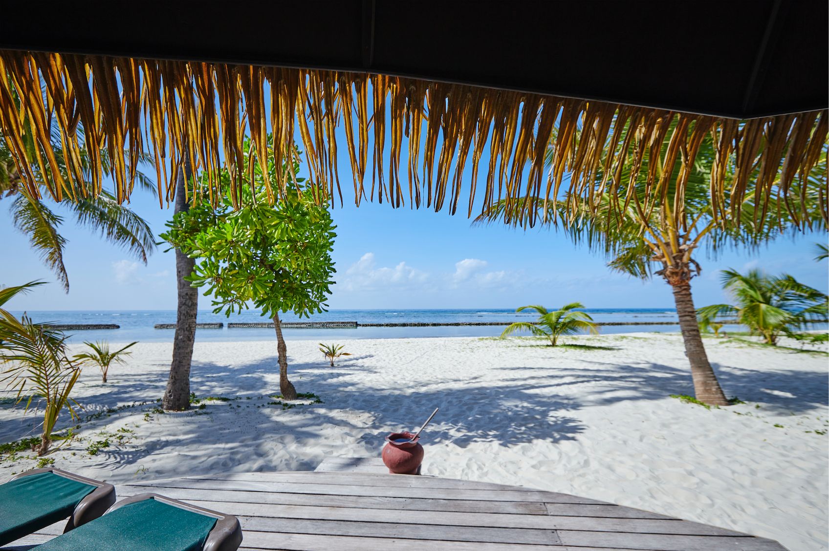 Premium Beach Bungalow