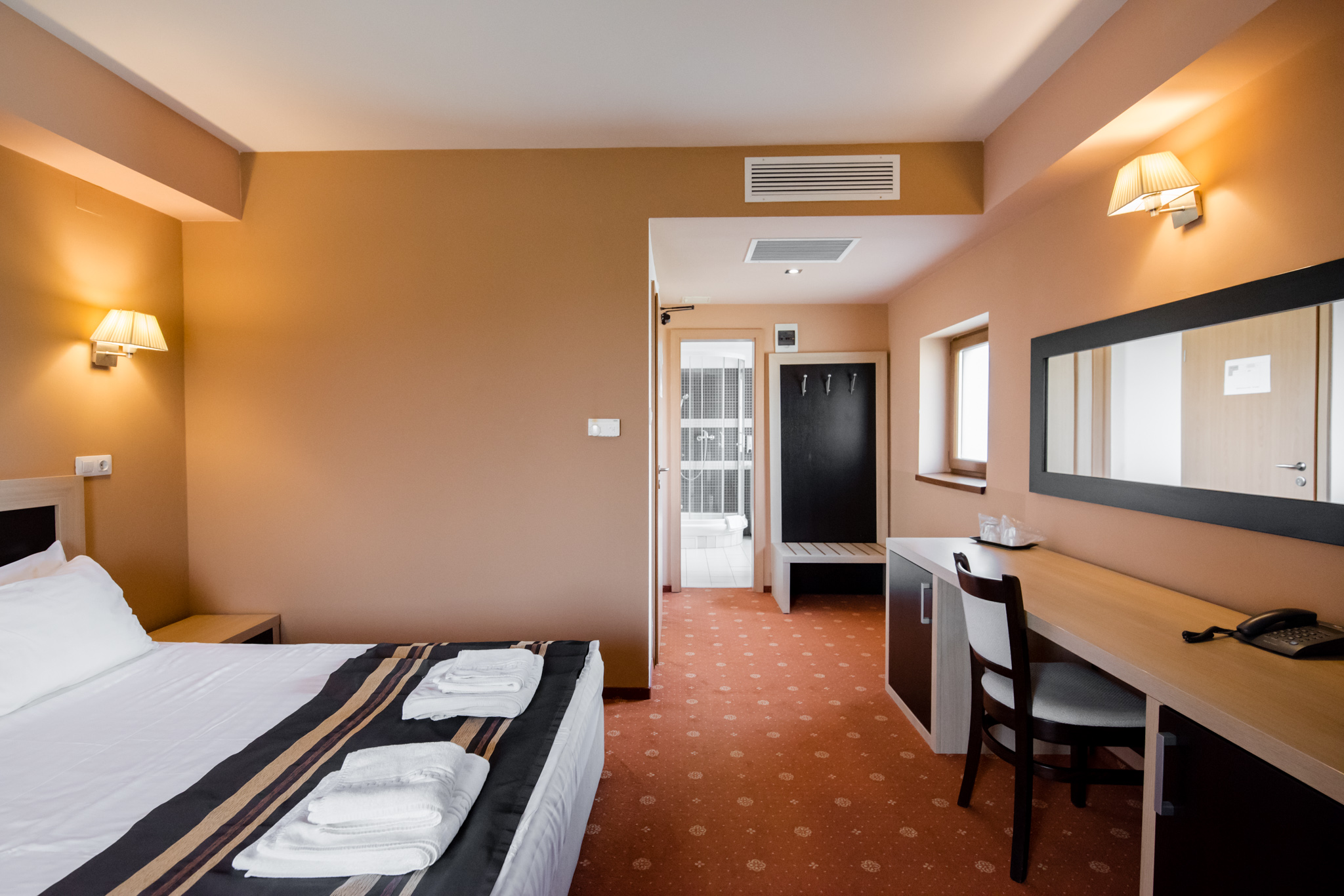 Executive Suite cu terasa