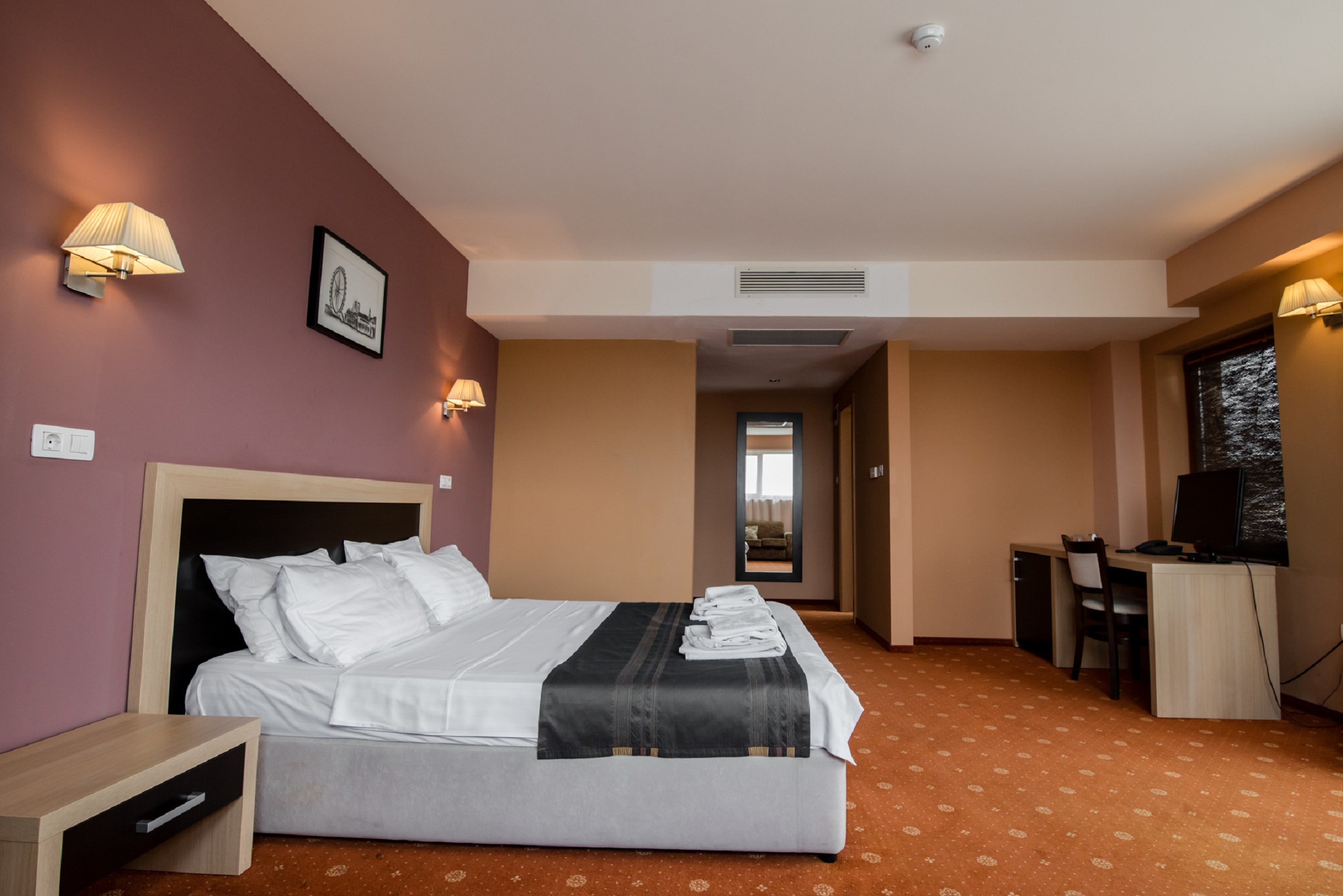 Executive Suite cu terasa