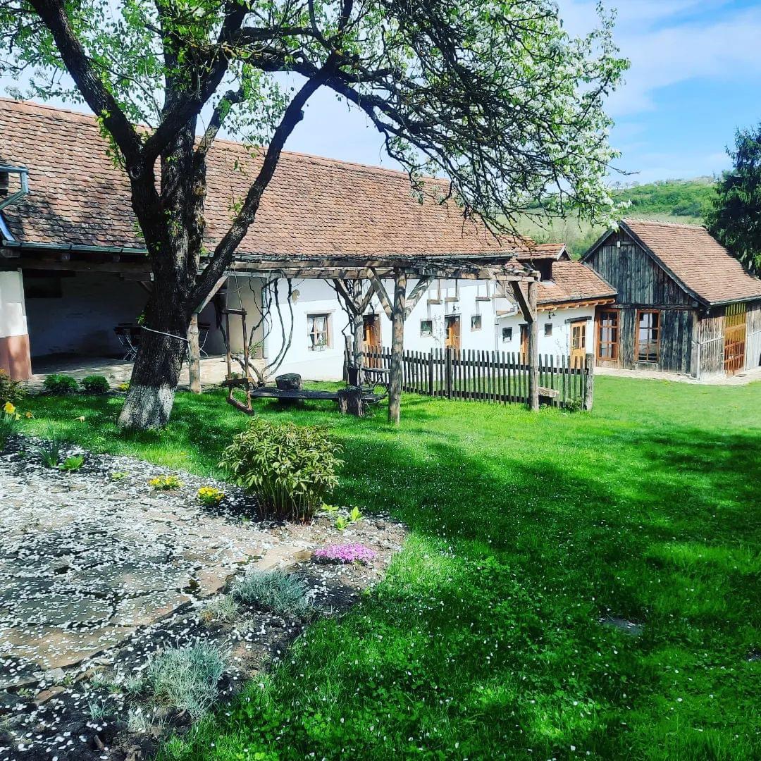 Apartament cu Scara