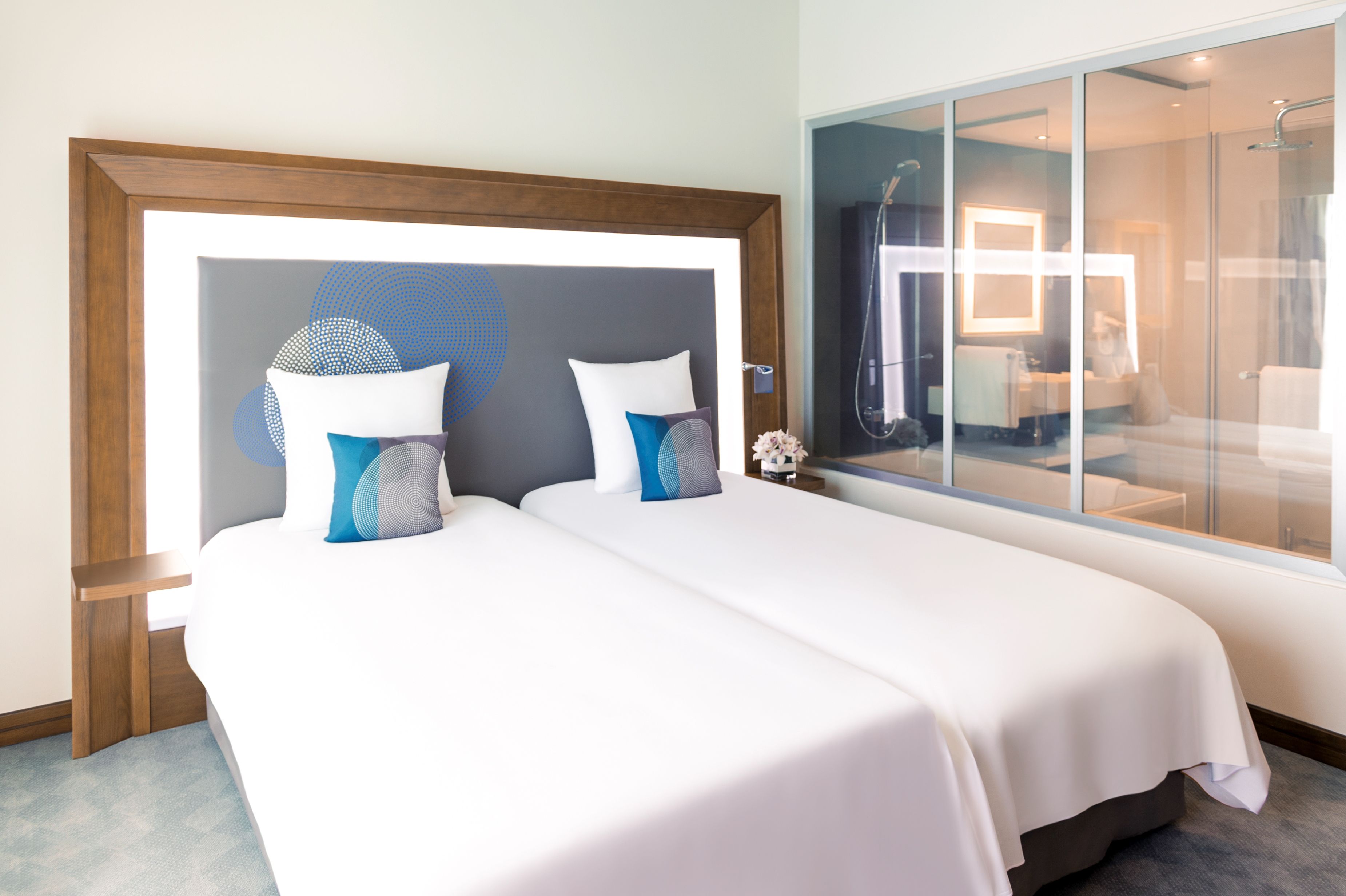 Standard Room Twin Room