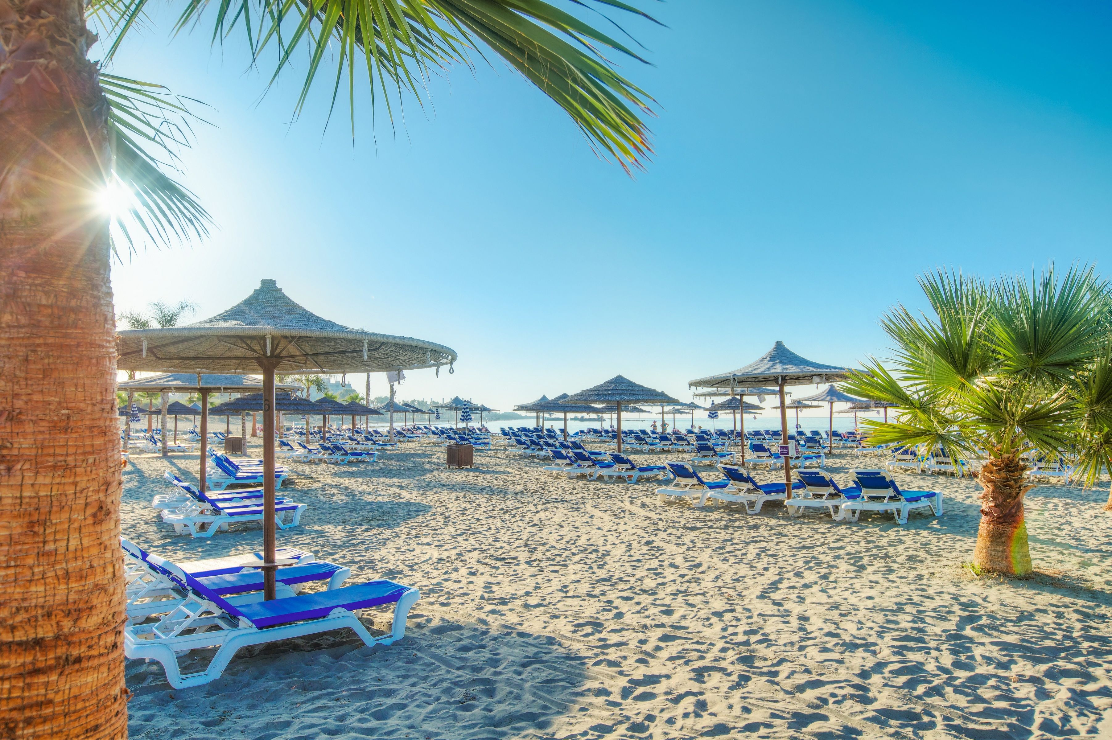 Plajă 