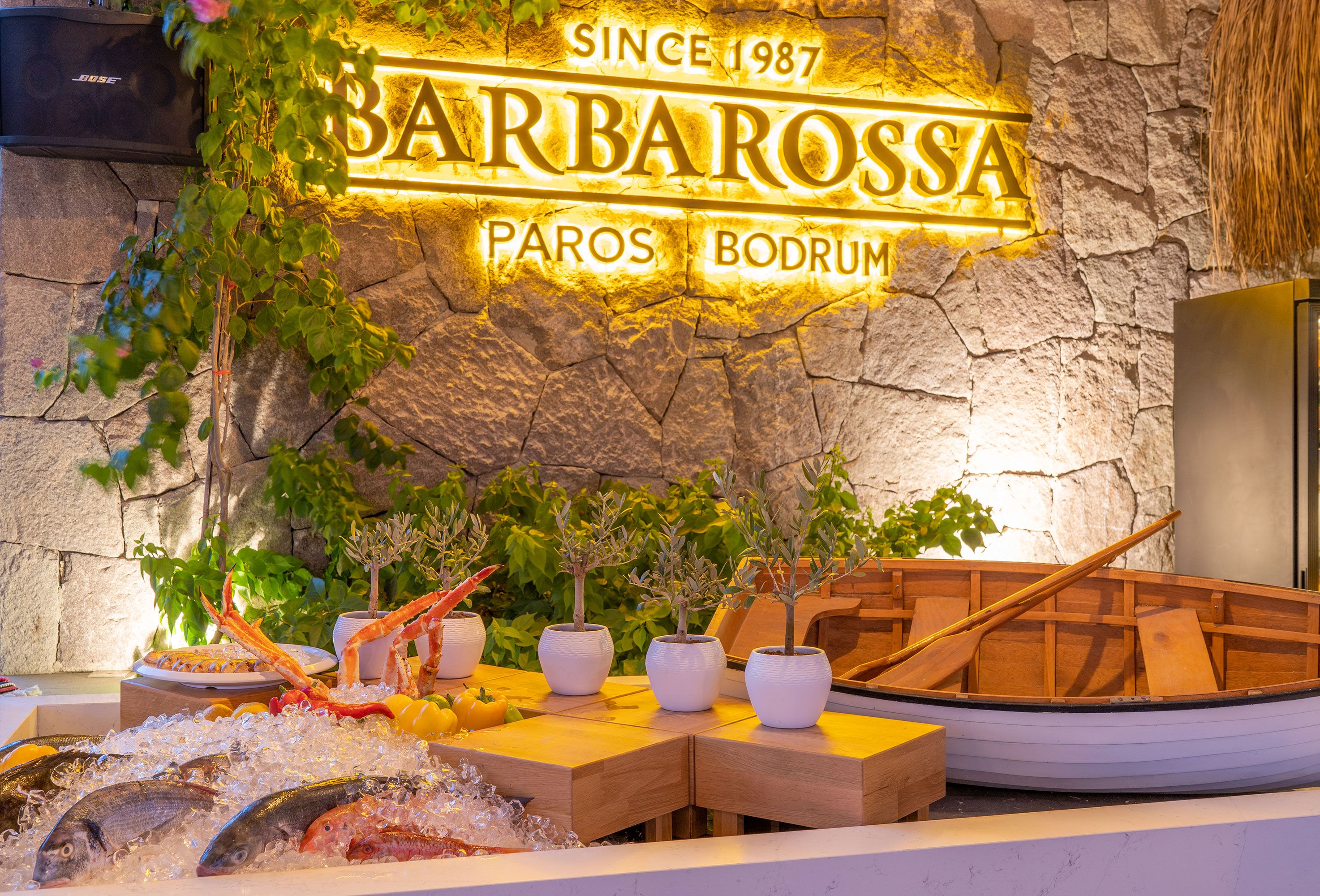 Barbarossa, Bodrum