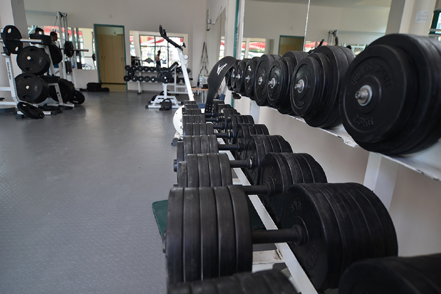 Sport