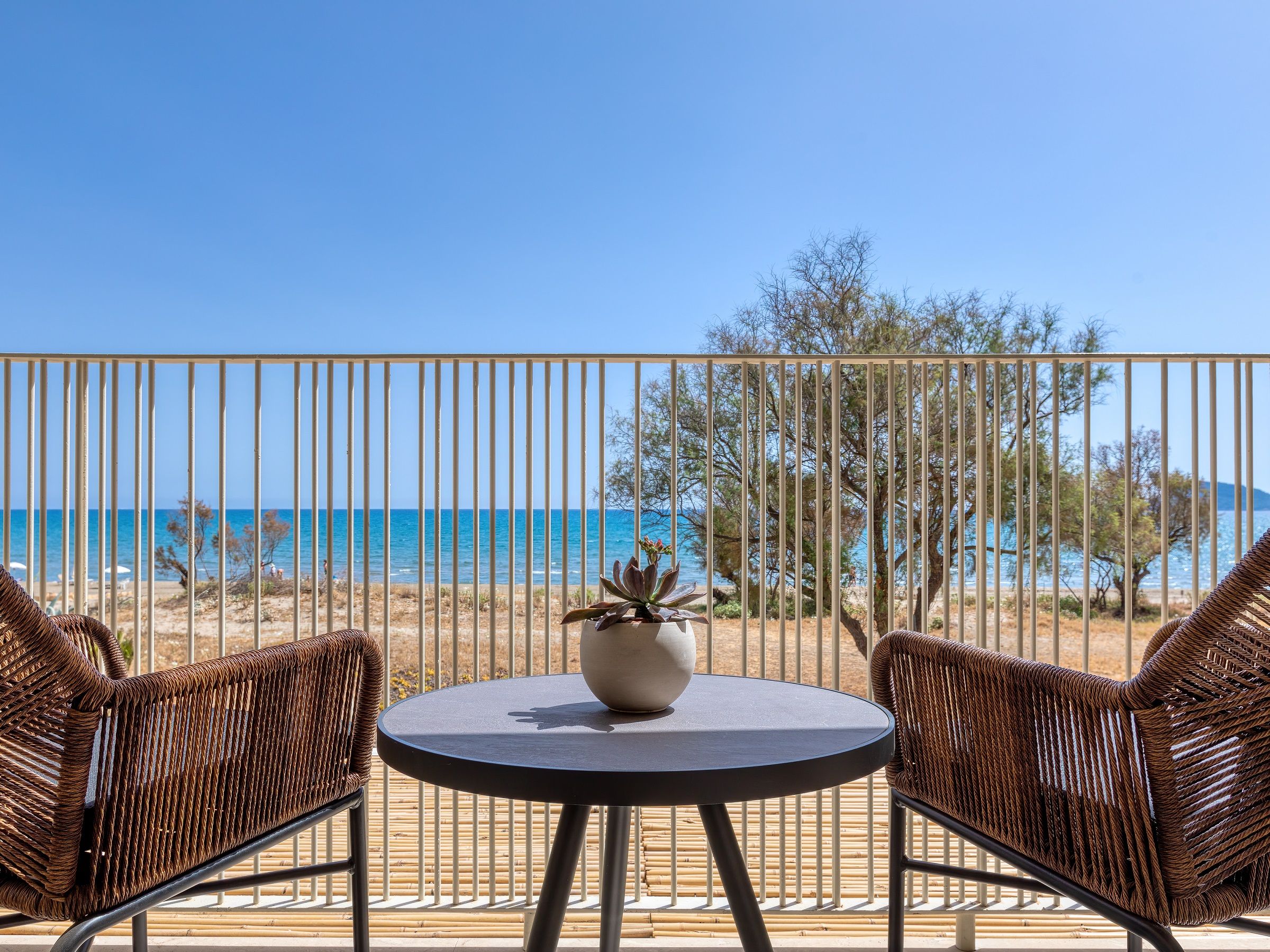 grand sapphire zen suite