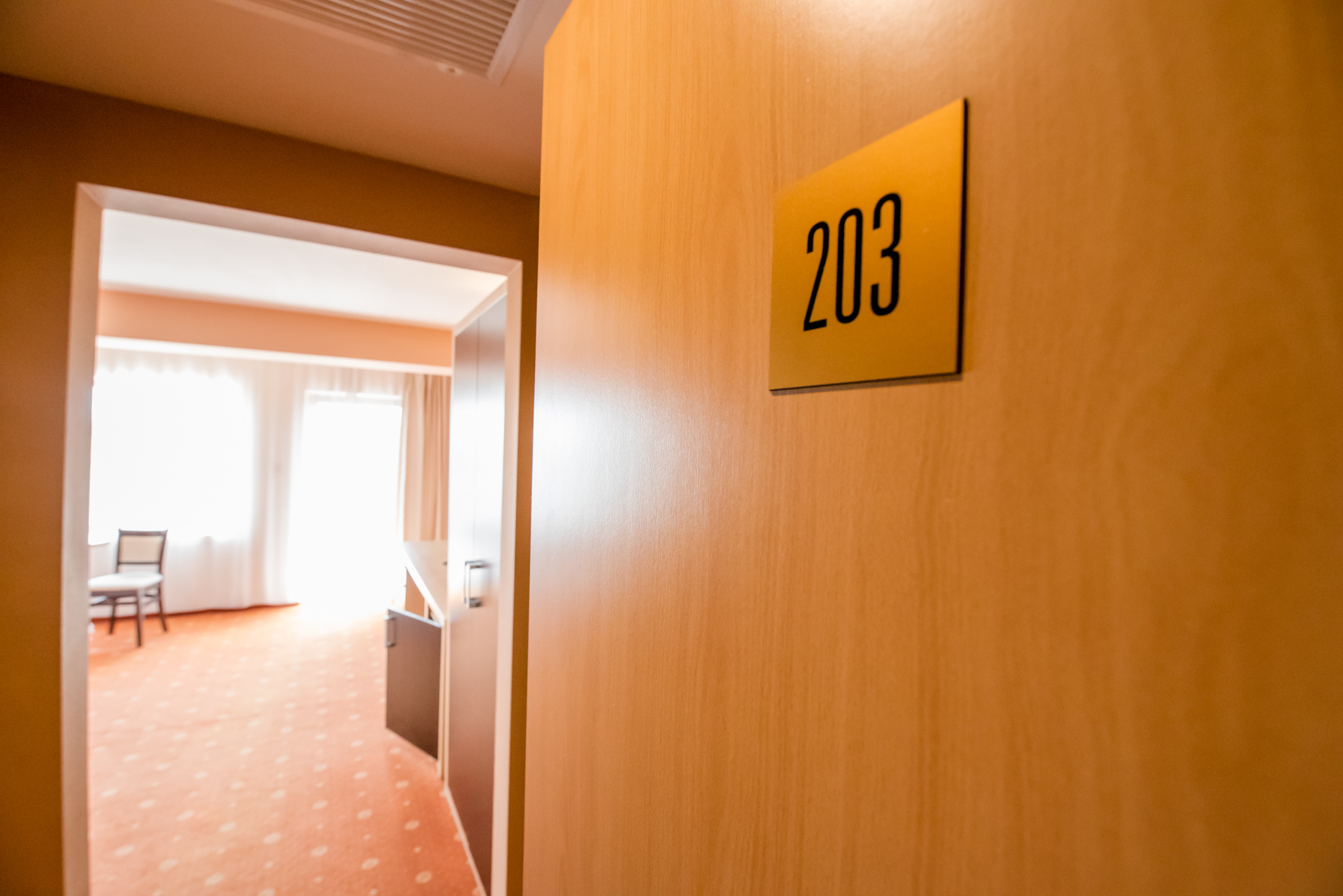 Business King Room with Balcony