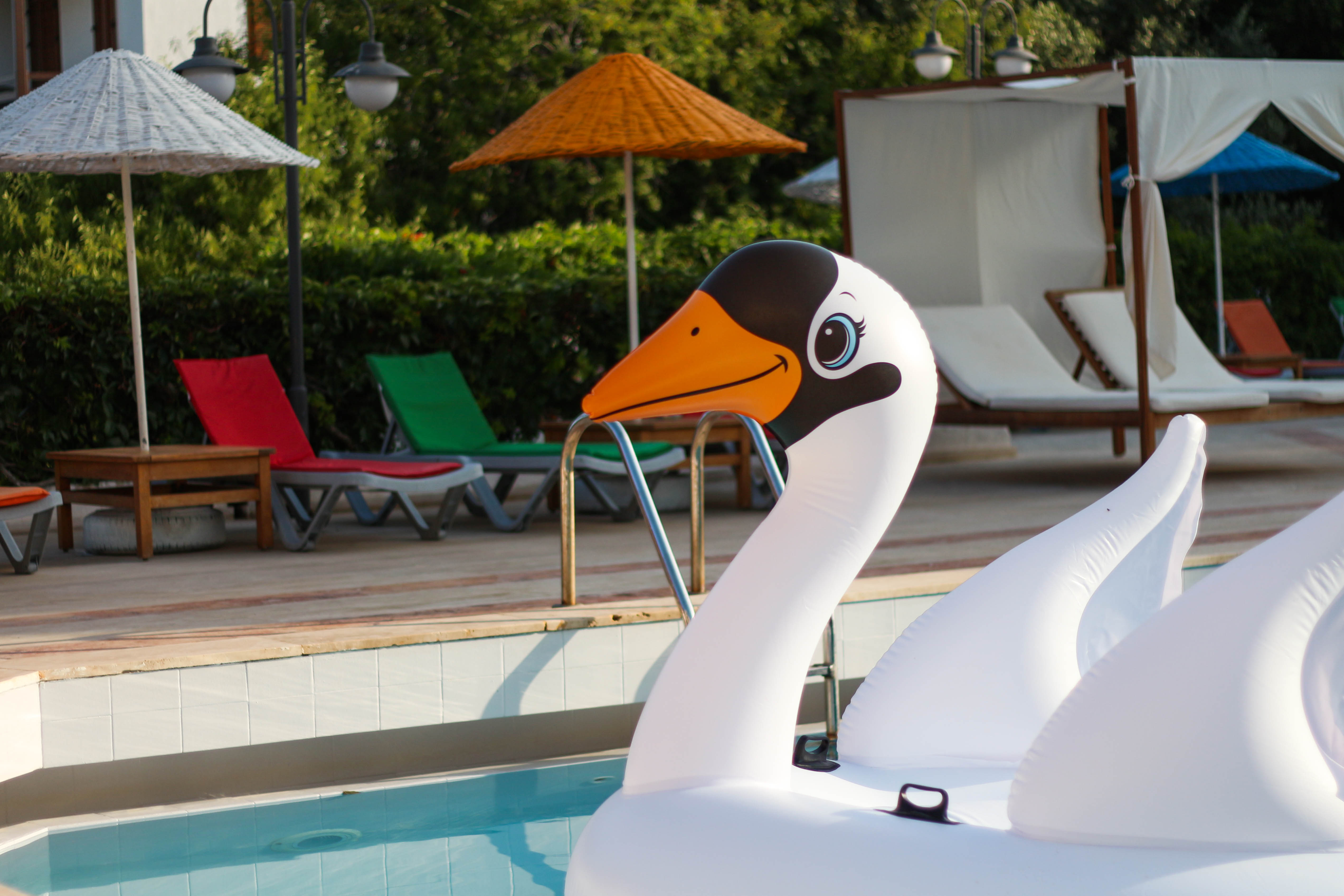 Piscina deschisă