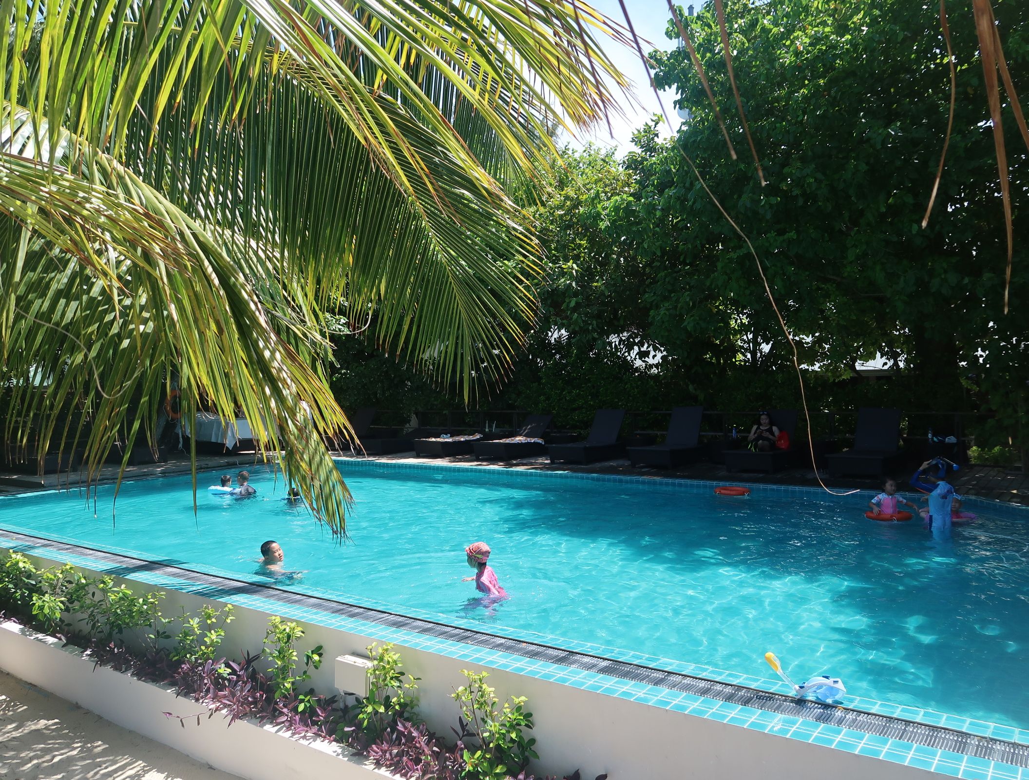 Piscina deschisă