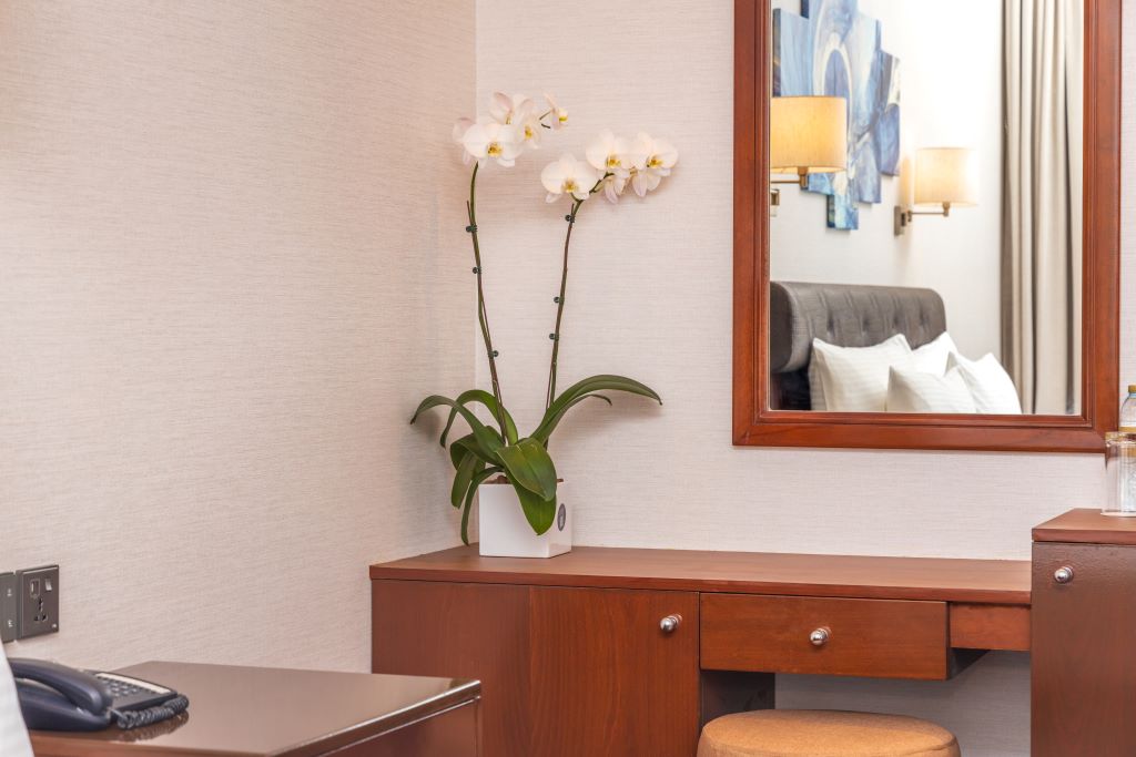 DELUXE SUITE (2 BEDROOM SUITE)