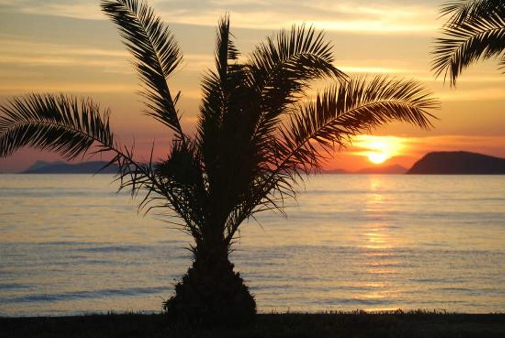 Plajă 