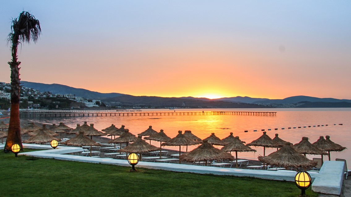 Plajă 
