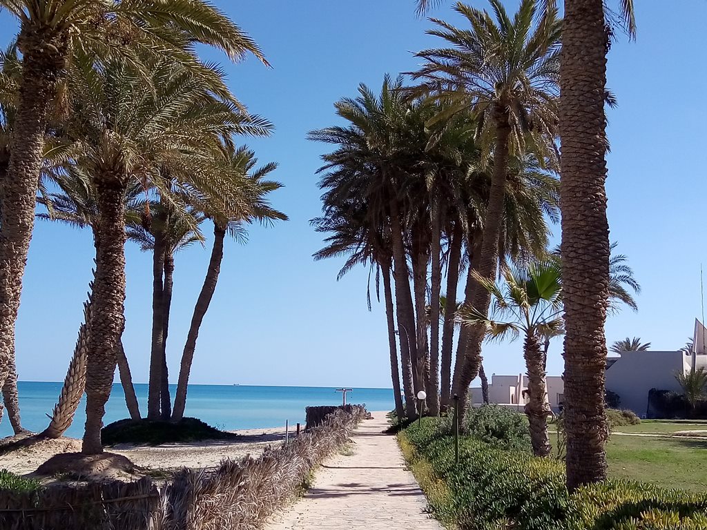 Plajă 