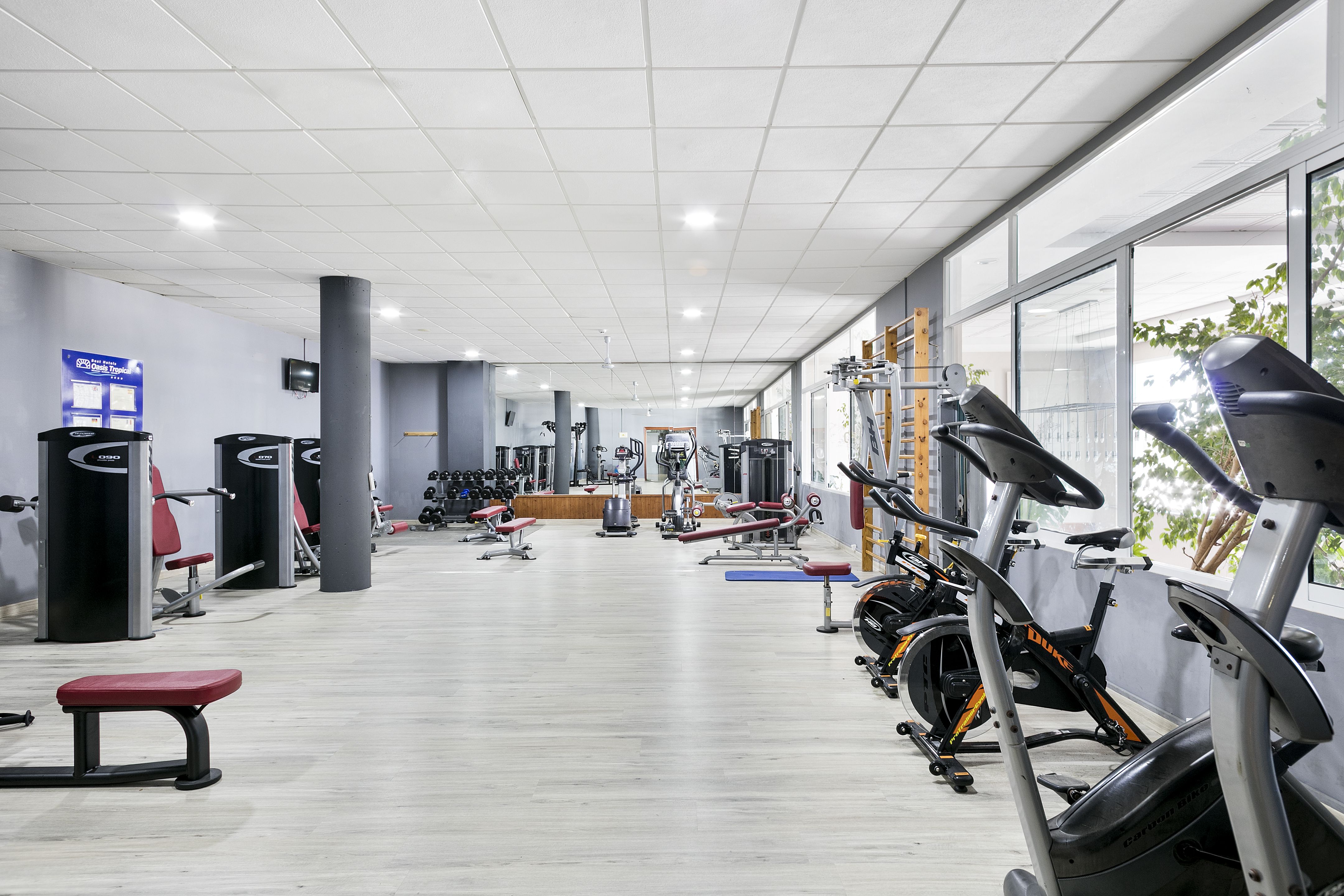 Sport