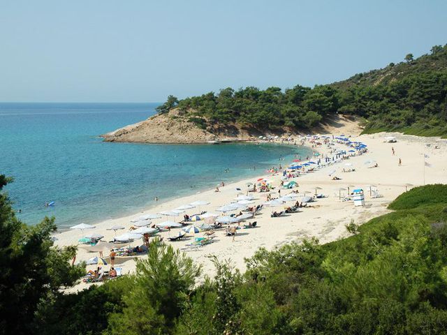 ths plaja.jpg