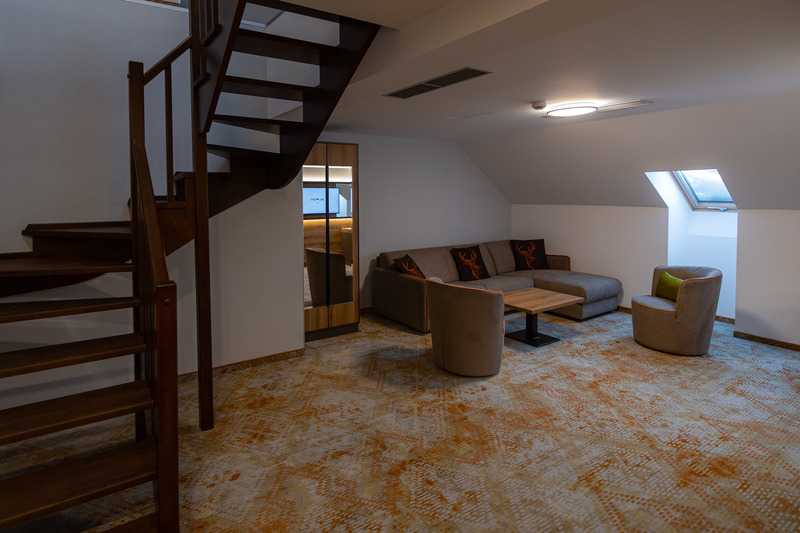 Deluxe Suite - Penthouse 