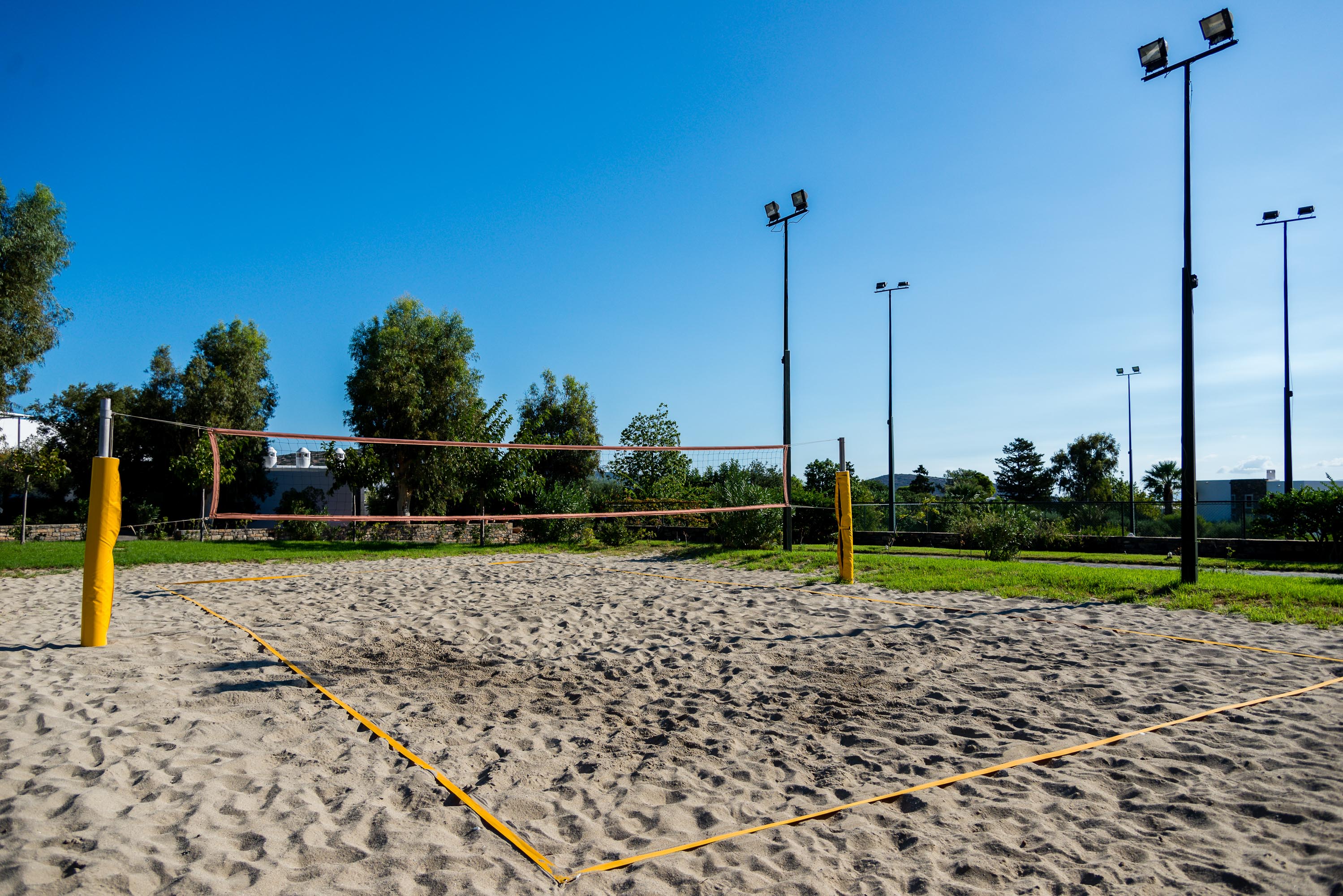 Sport