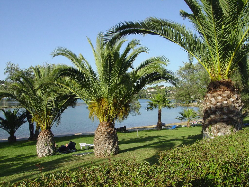 Plajă 