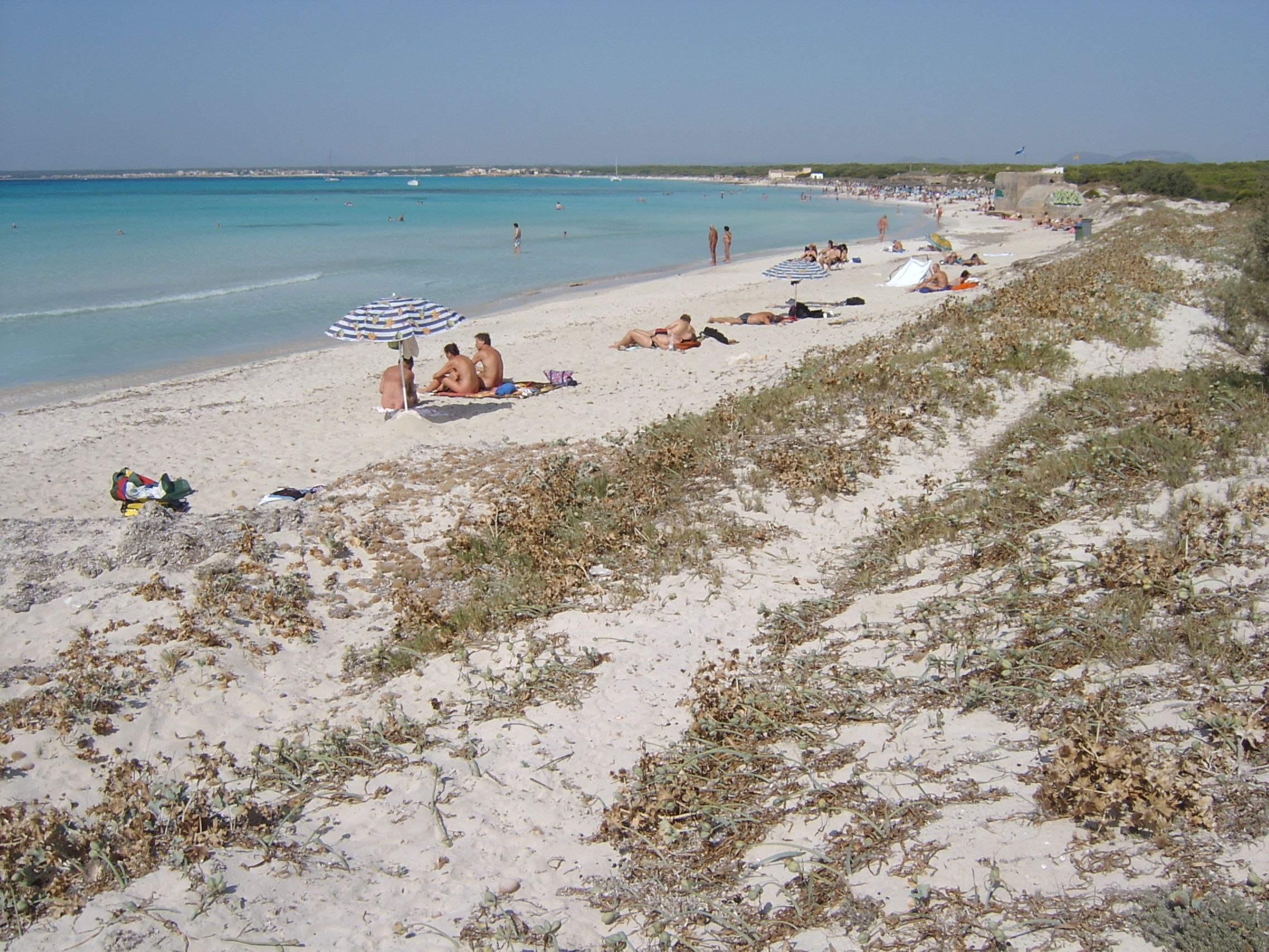 Plajă 