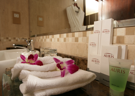 100_bathroom-auris-amenities.jpg