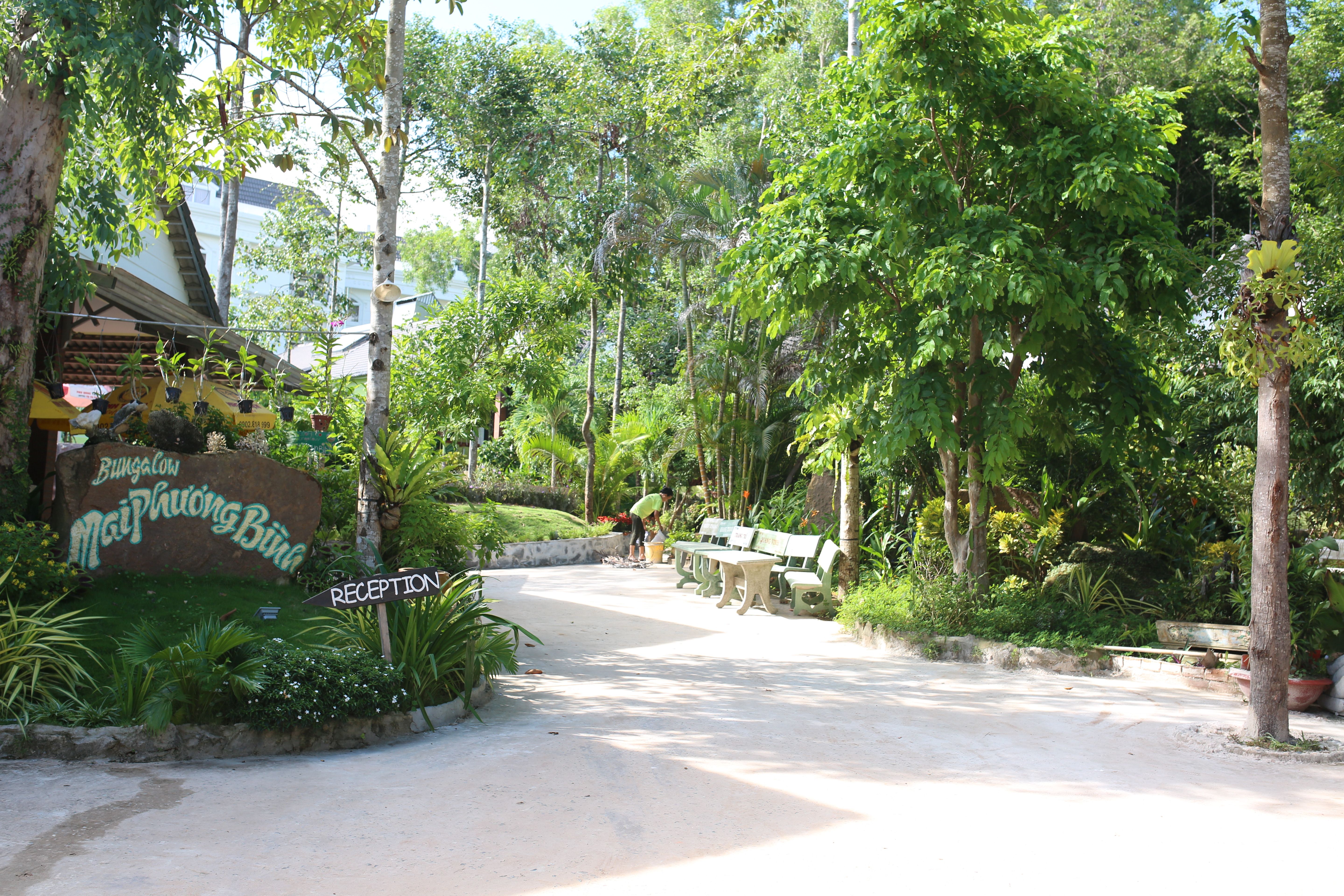 Bungalou