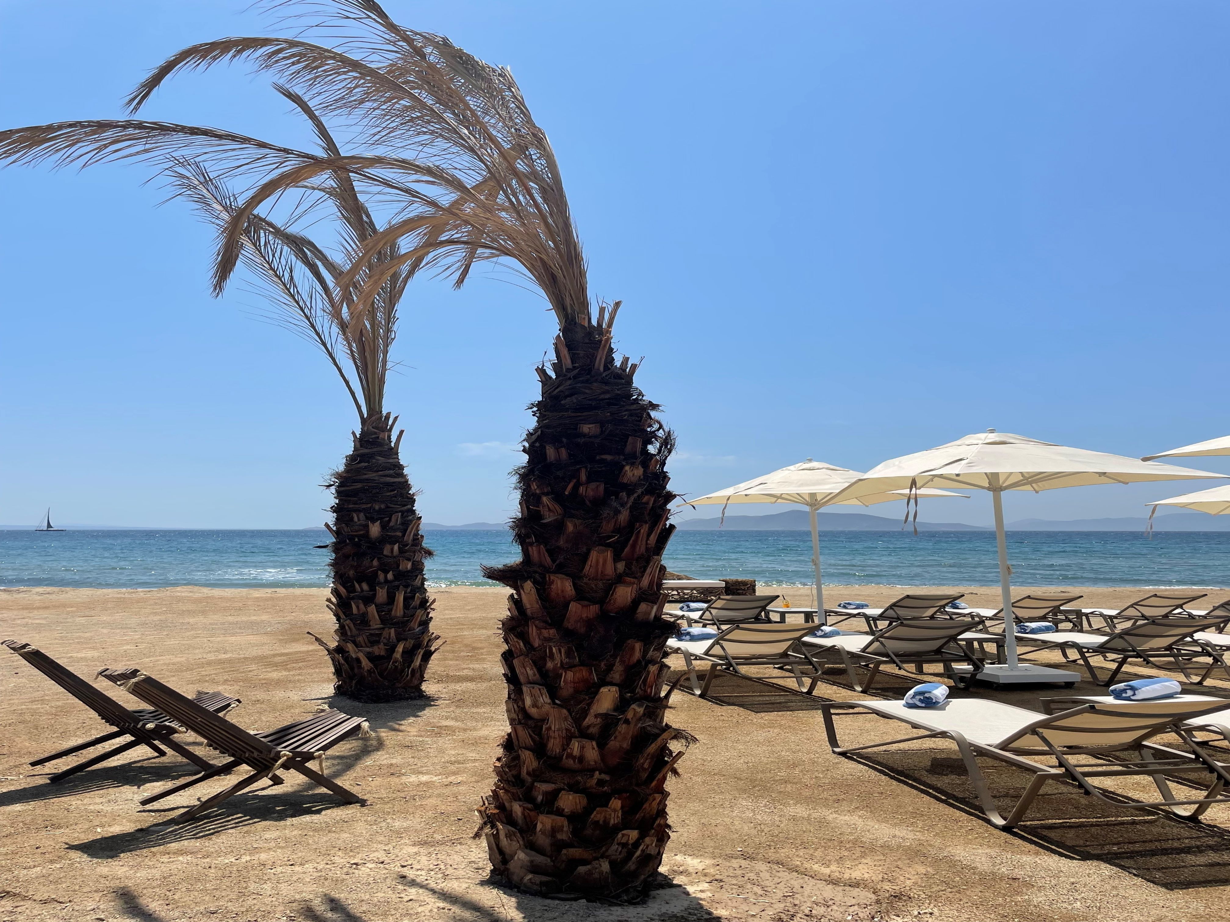 Plajă 