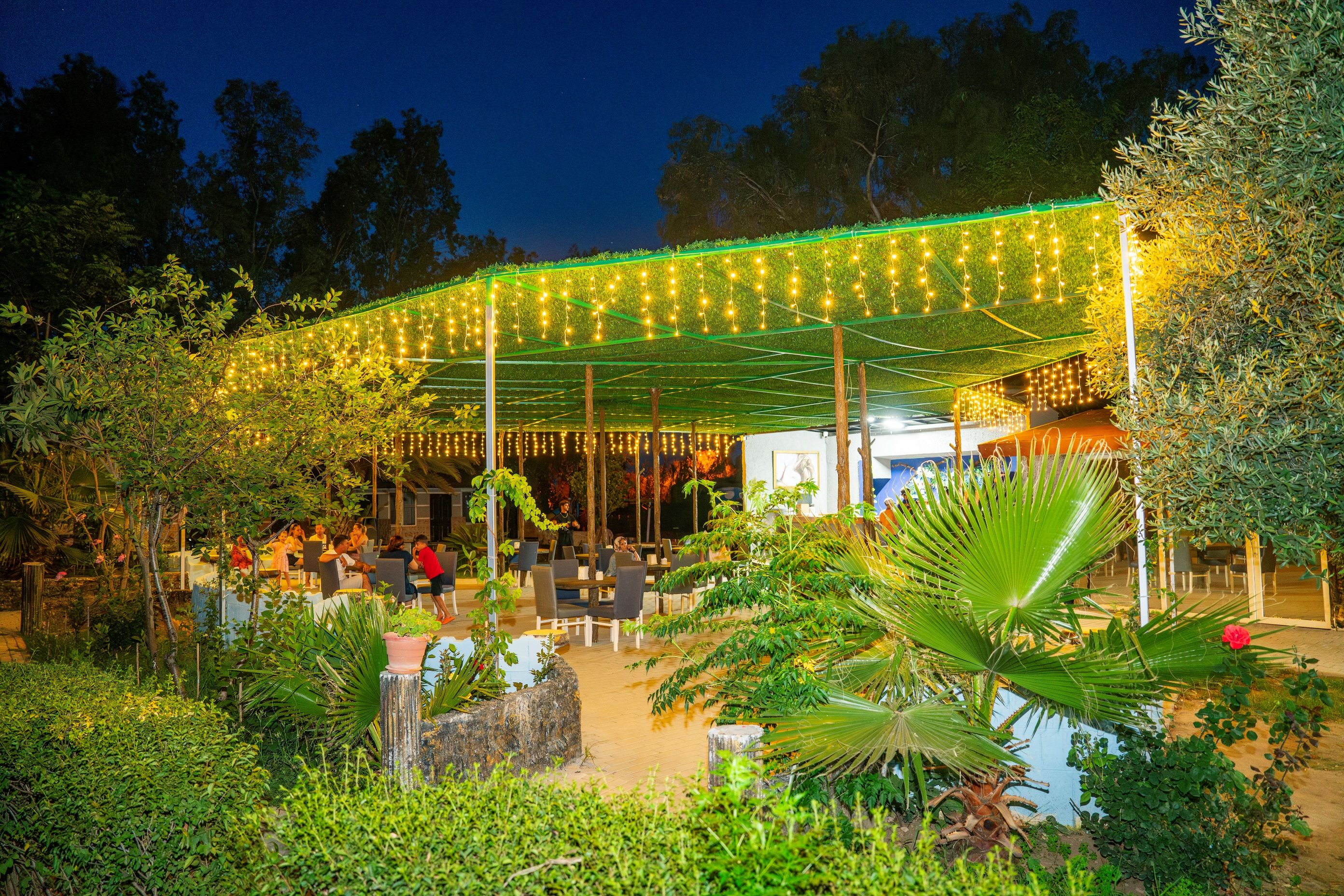 Beach Bar