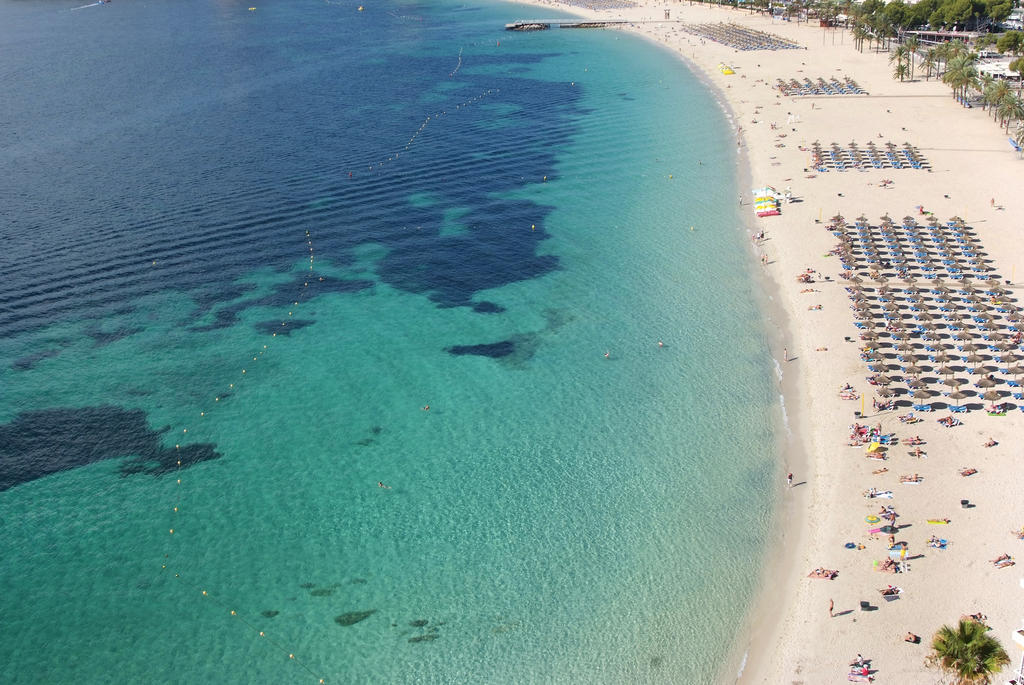 Plajă 