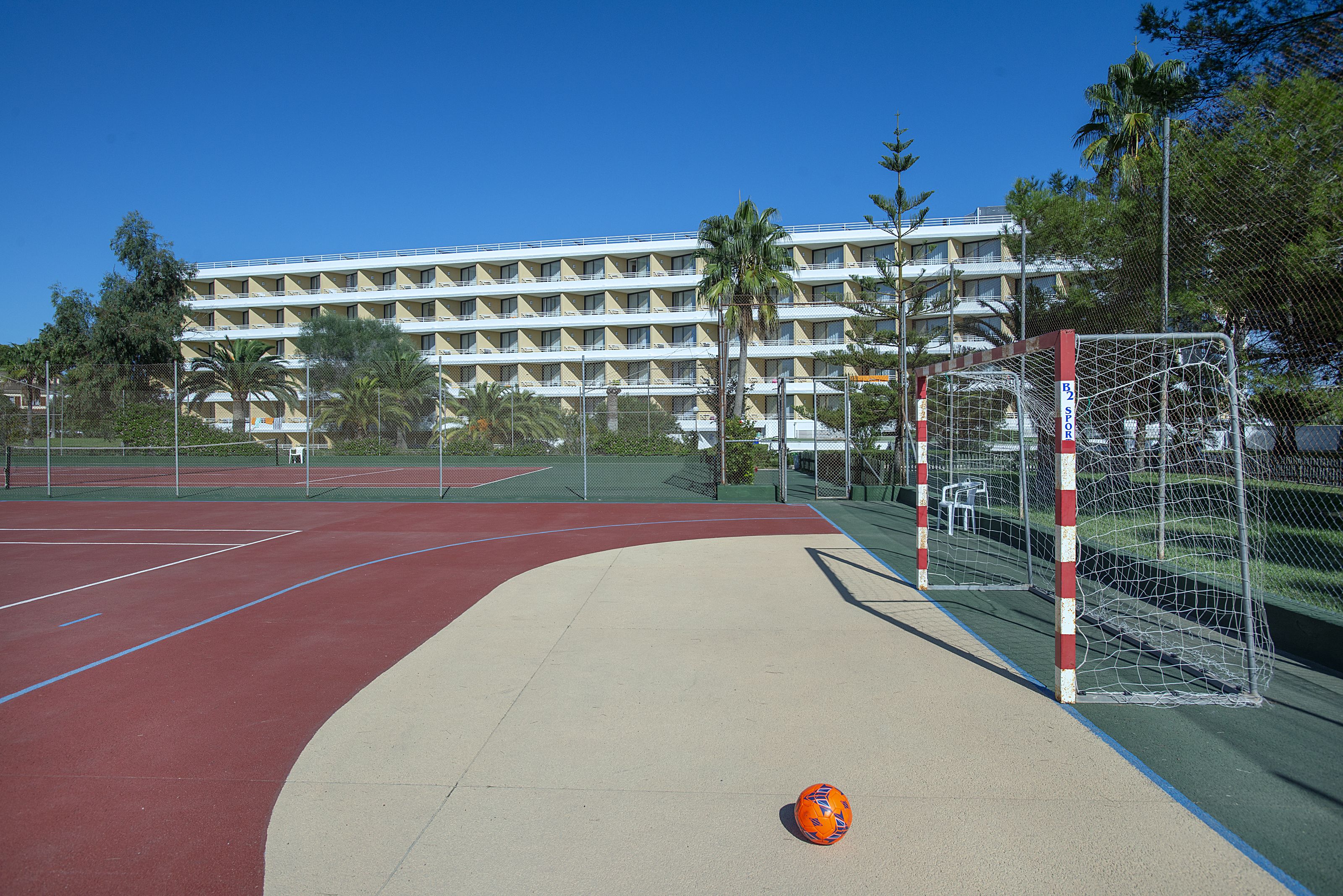 Sport