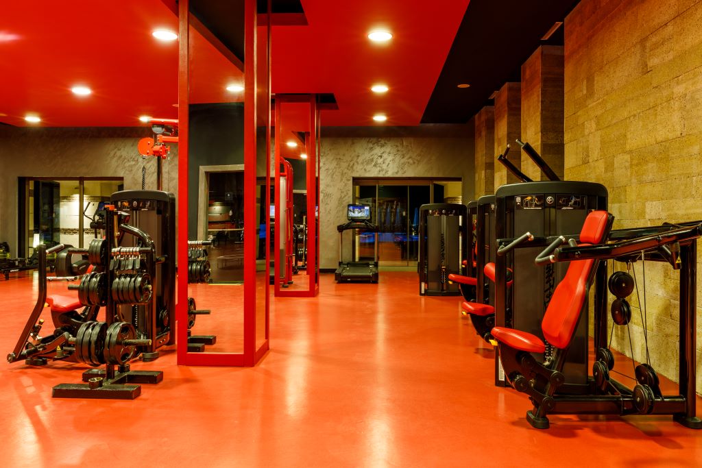 Sport