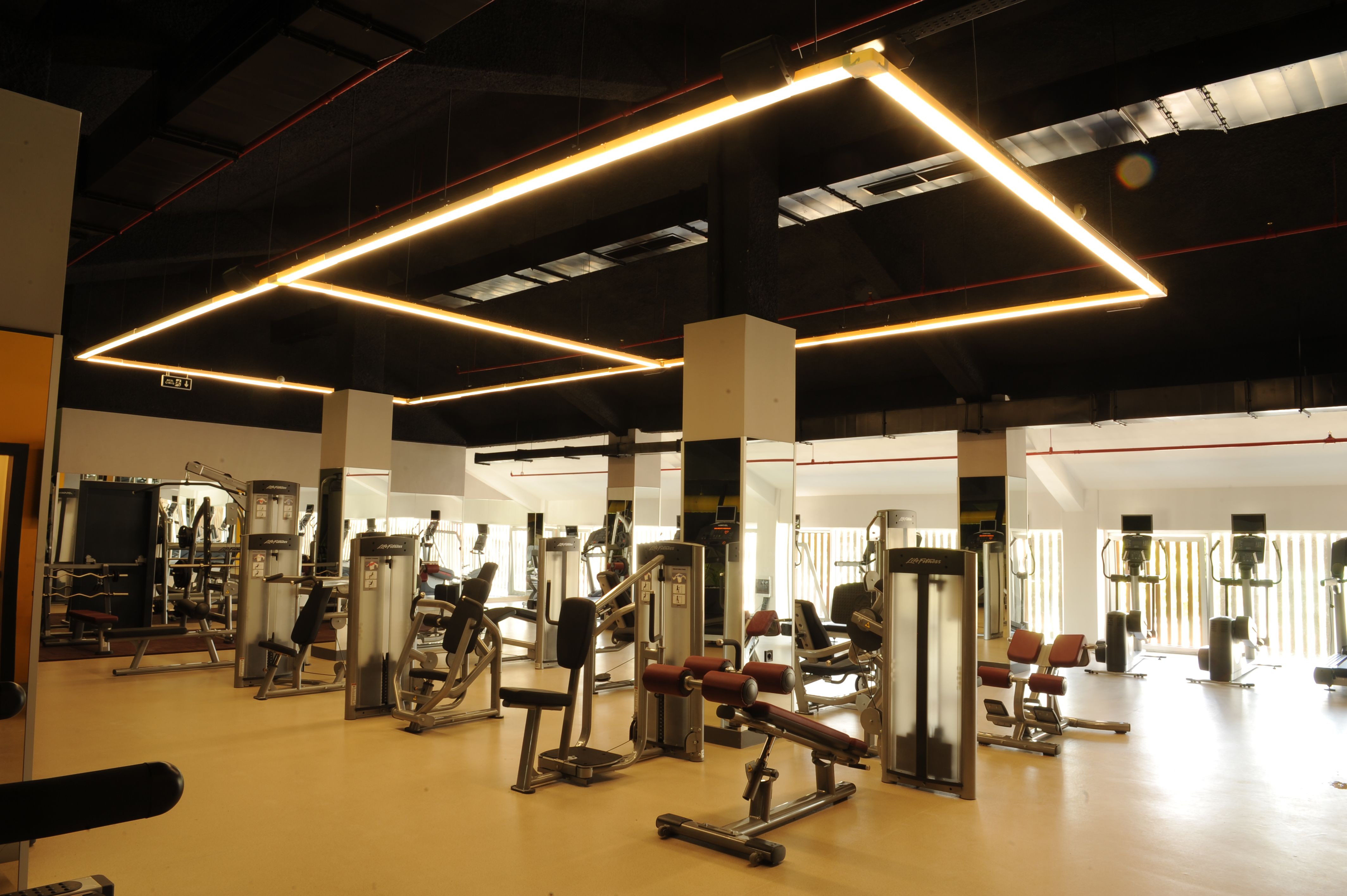 Sport