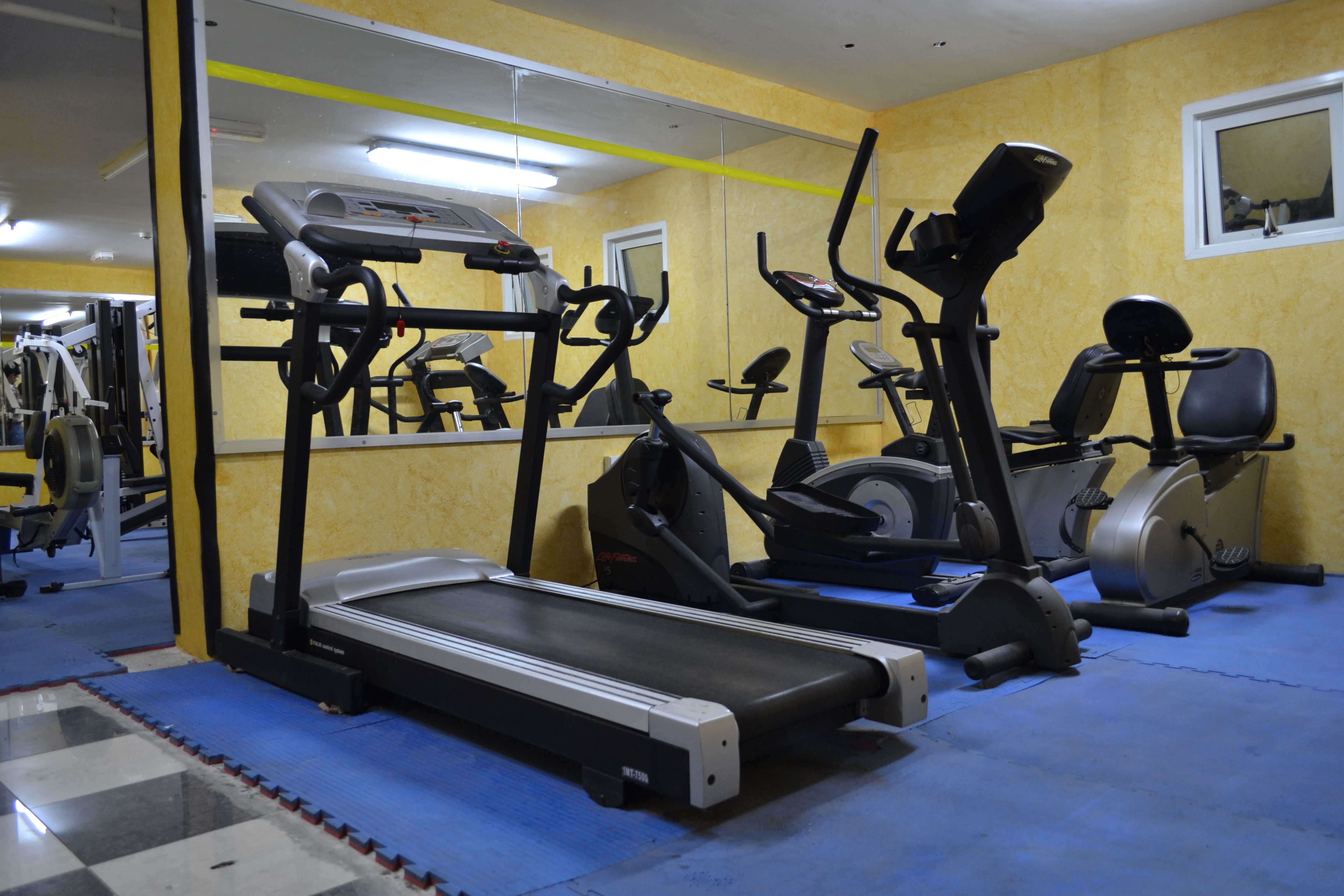 Sport