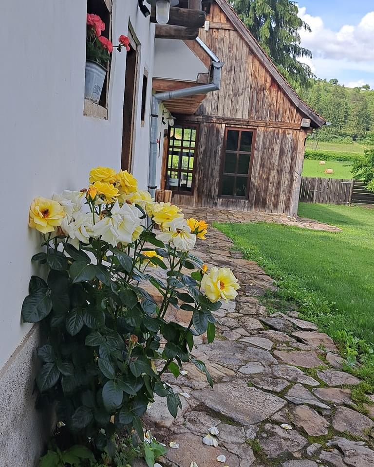 Apartament cu Scara