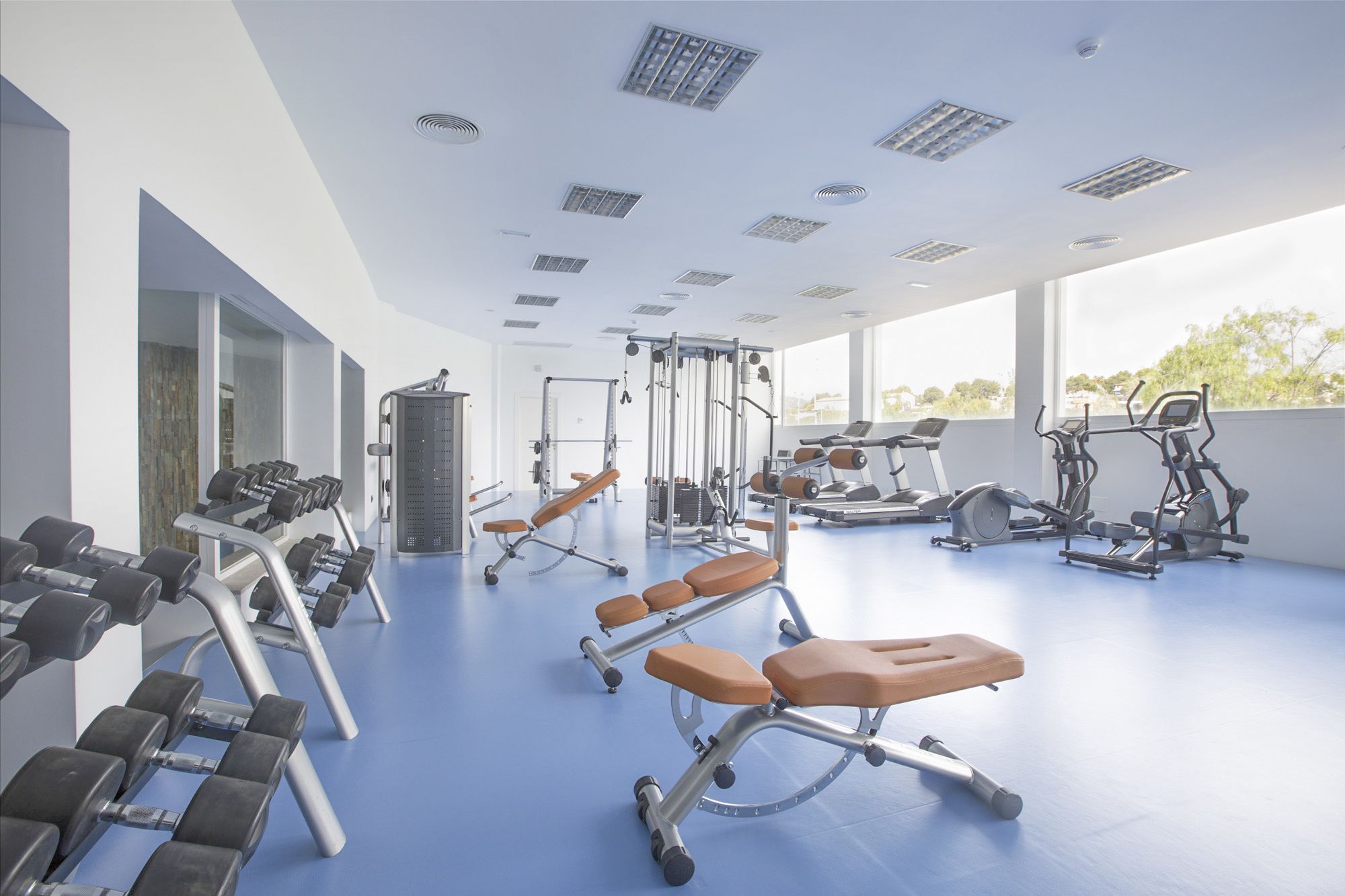 Sport